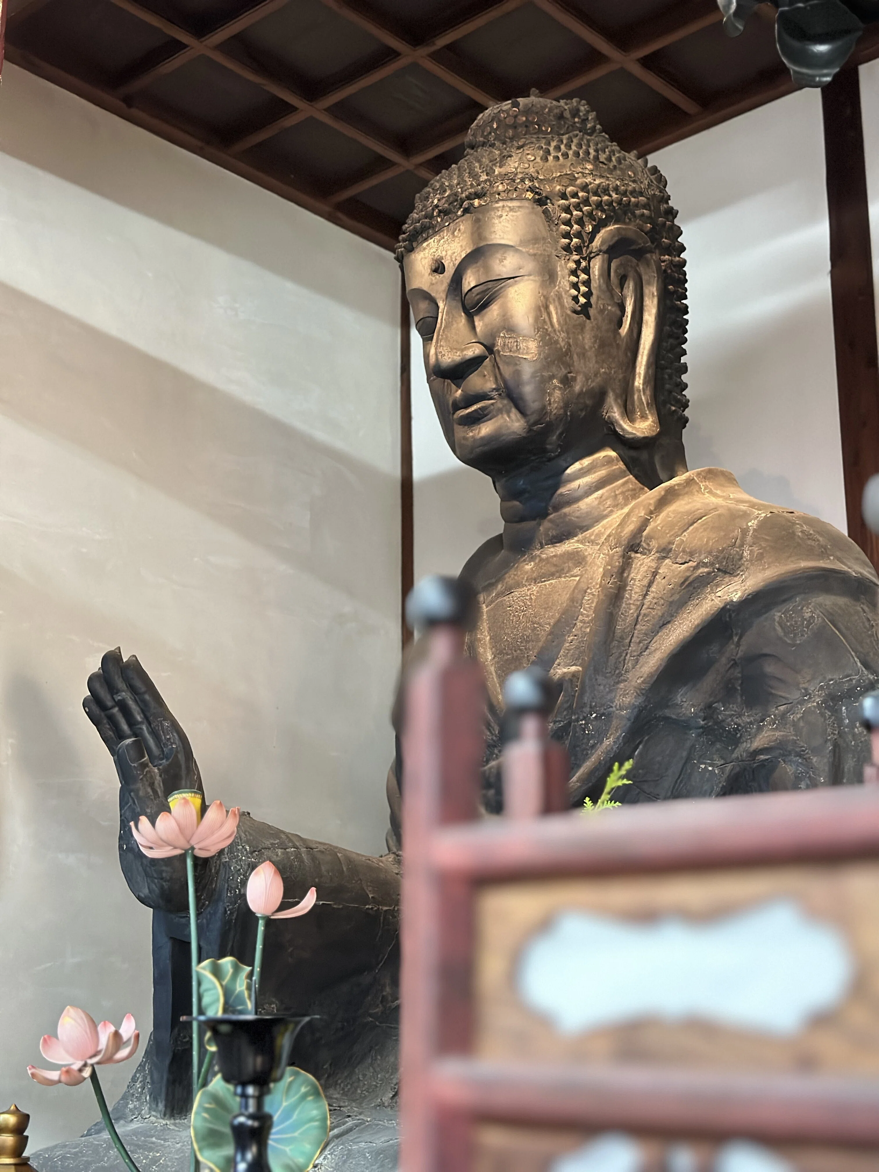 大人の「奈良旅行」完全ガイド！魅力と楽しみ方 2025ver｜禅林 真理