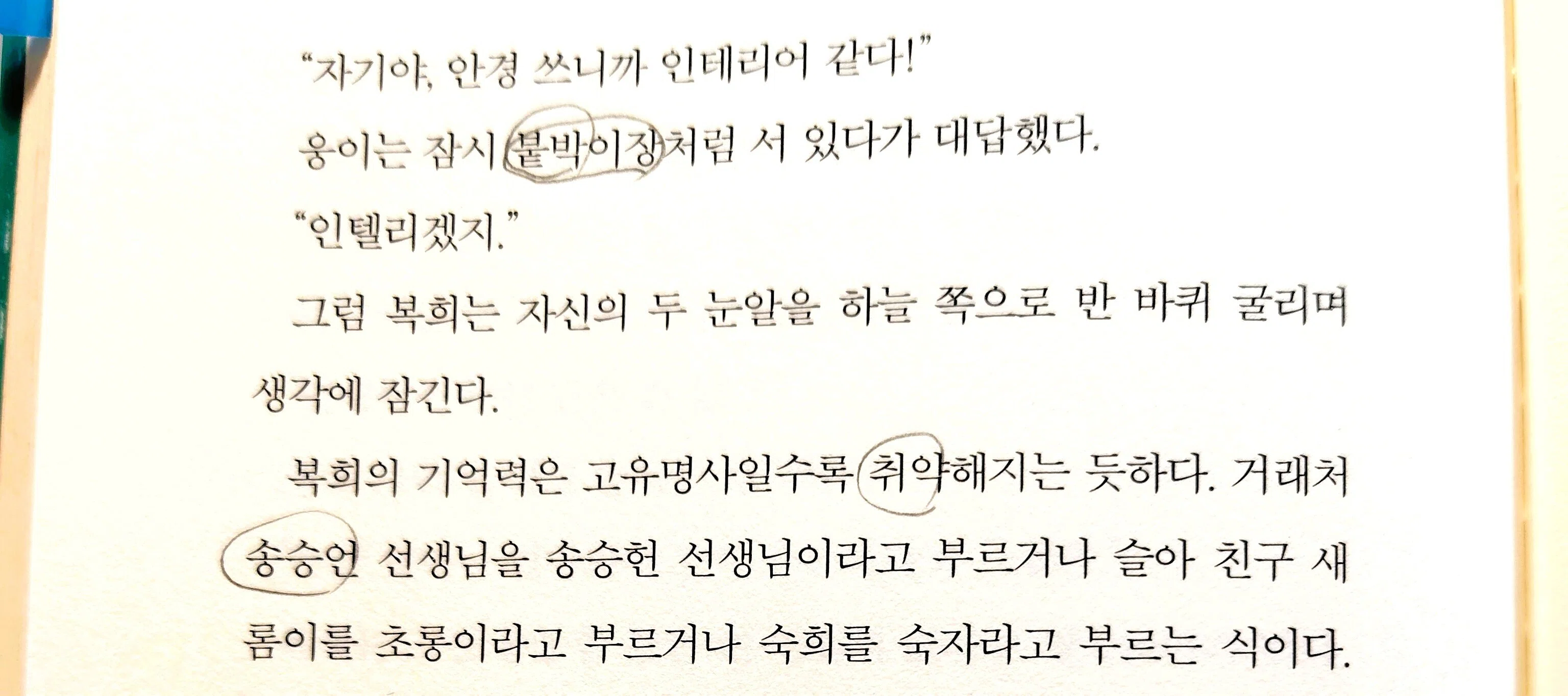 韓国語学習 原書を読み切るためにやっていること（イ・スラ「家女長の
