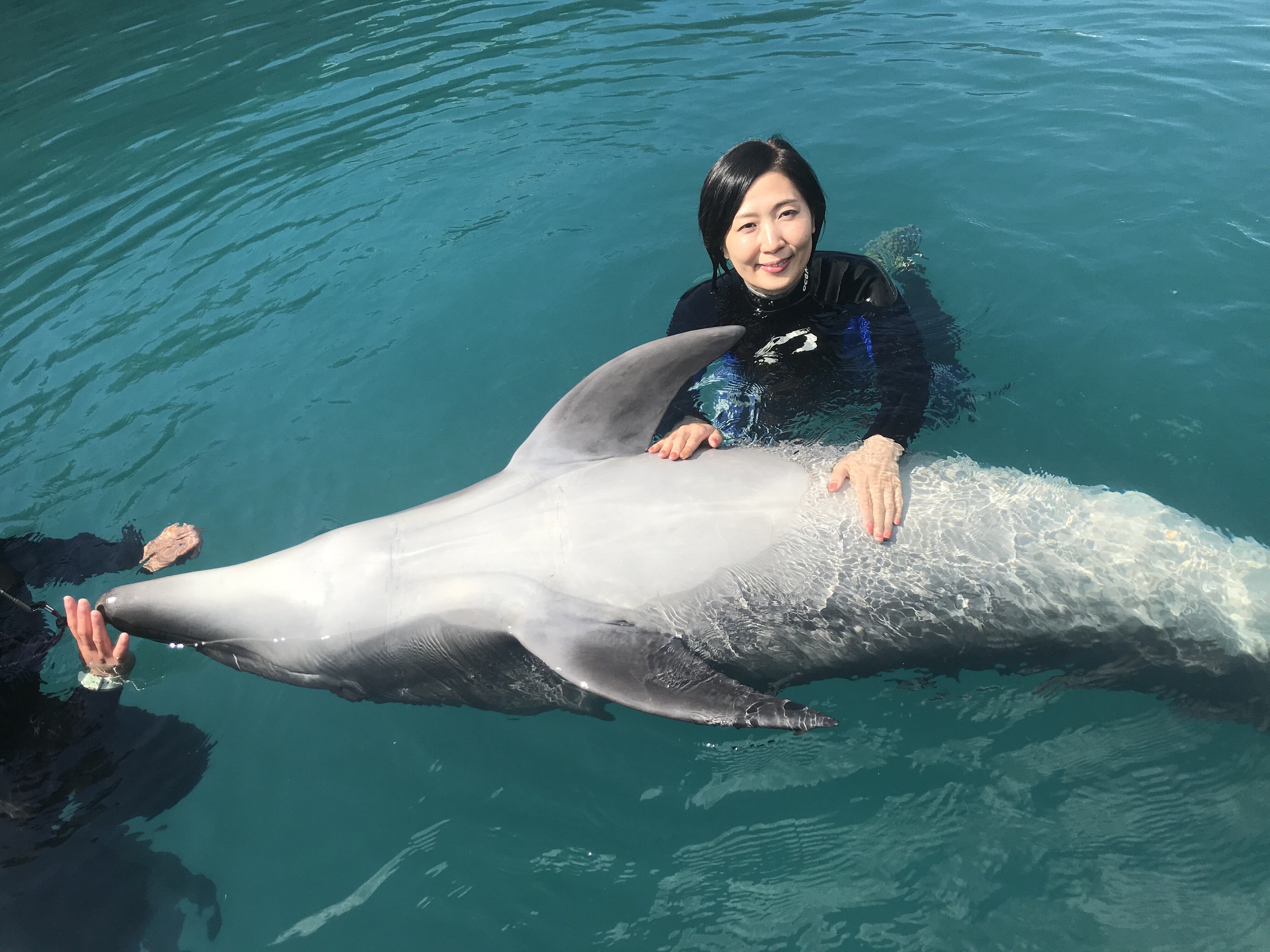 将来の夢はイルカ」 I am a Dolphin.｜formachika-フォルマチカ