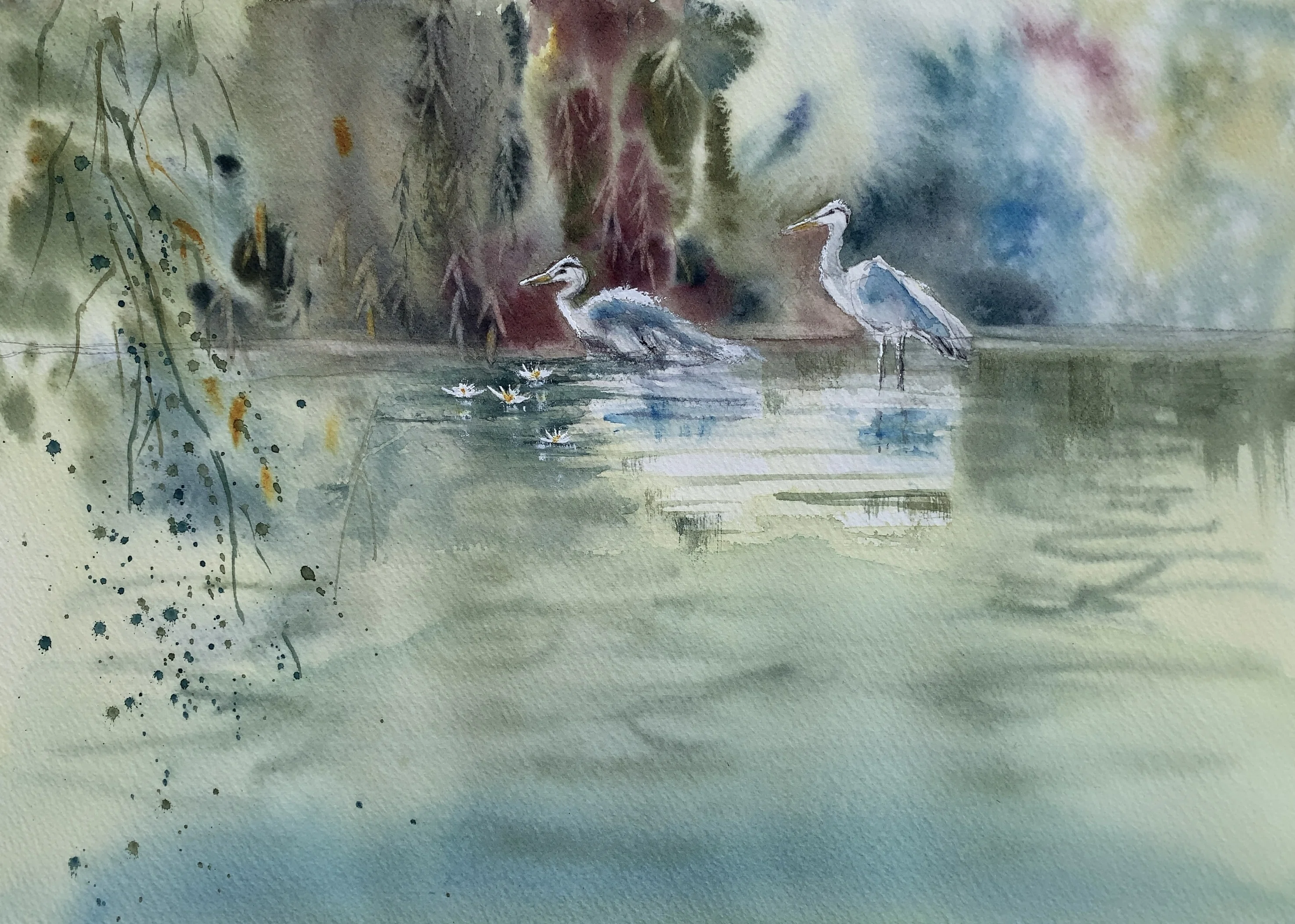 京都の水蓮とアオサギの絵｜透明水彩アーティストKiwako