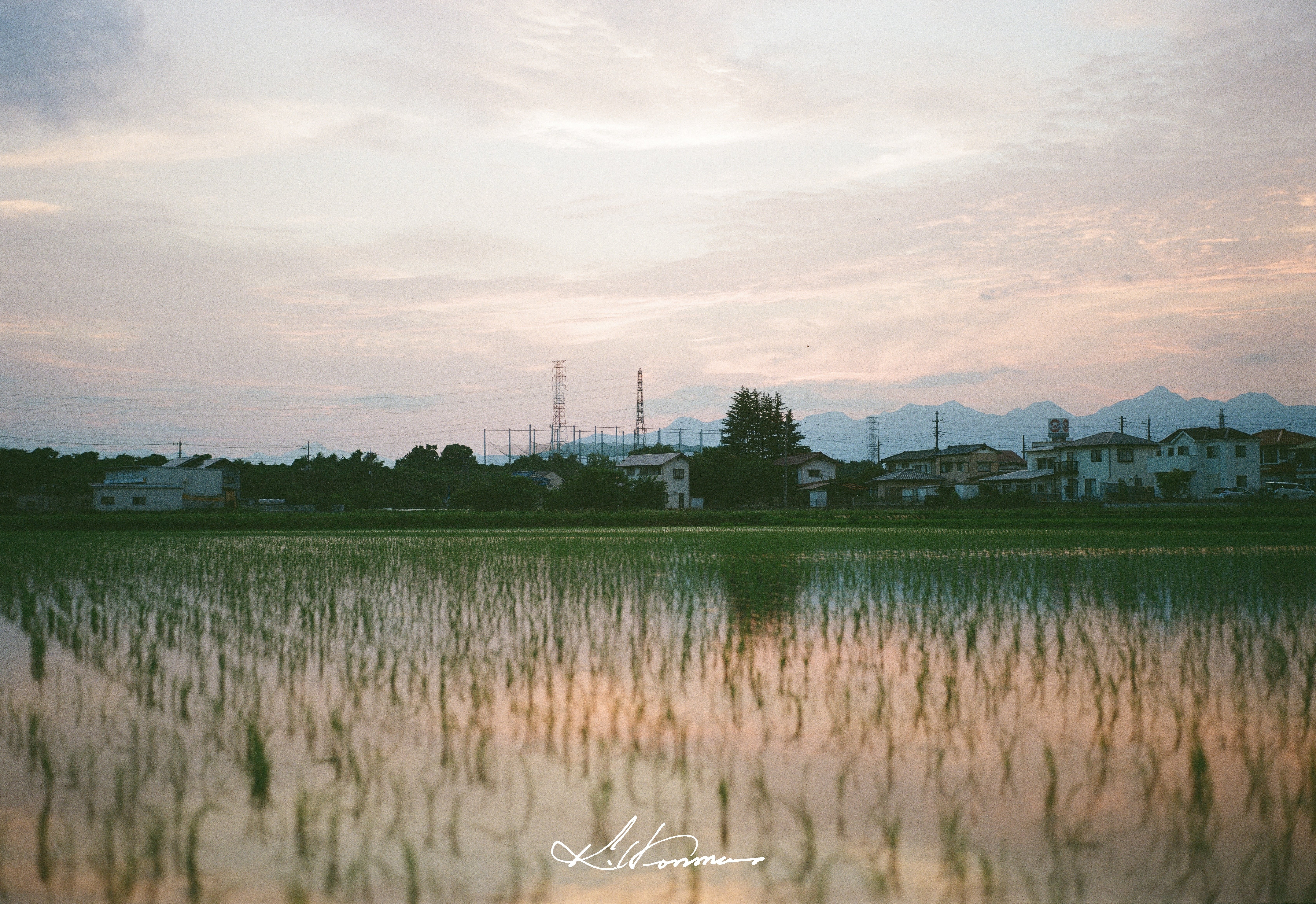 Film Photos】Mamiya Universal Press 1stロール｜Jun. 2025