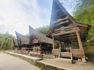 山椒市：海のかなたスマトラ島トバ湖より、アンダリマン山椒粉末、1000g FOODTRIP - アンダリマン山椒 粉末、30g