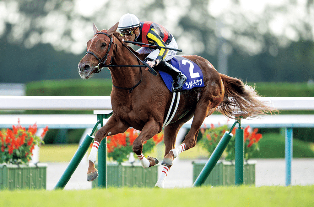 オルフェーヴル血統徹底分析：後継種牡馬・繁殖牝馬・配合戦略
