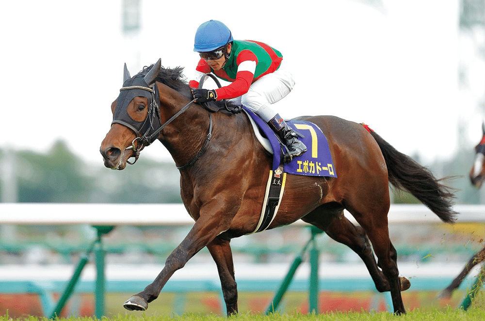 オルフェーヴル血統徹底分析：後継種牡馬・繁殖牝馬・配合戦略