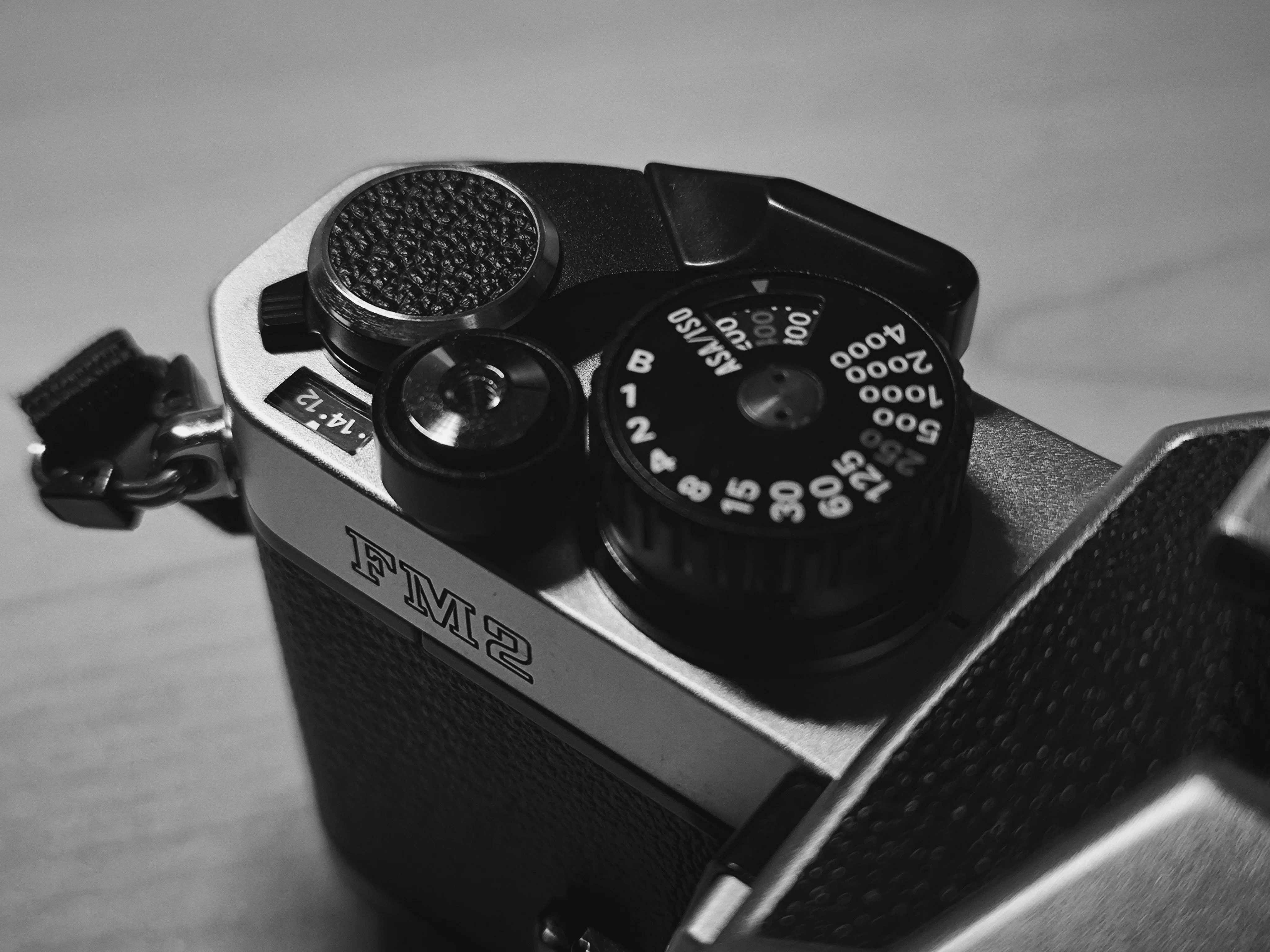 愛カメラ遍歴 Vol.7 ： Nikon New FM2と、あの頃の光をいま見るという