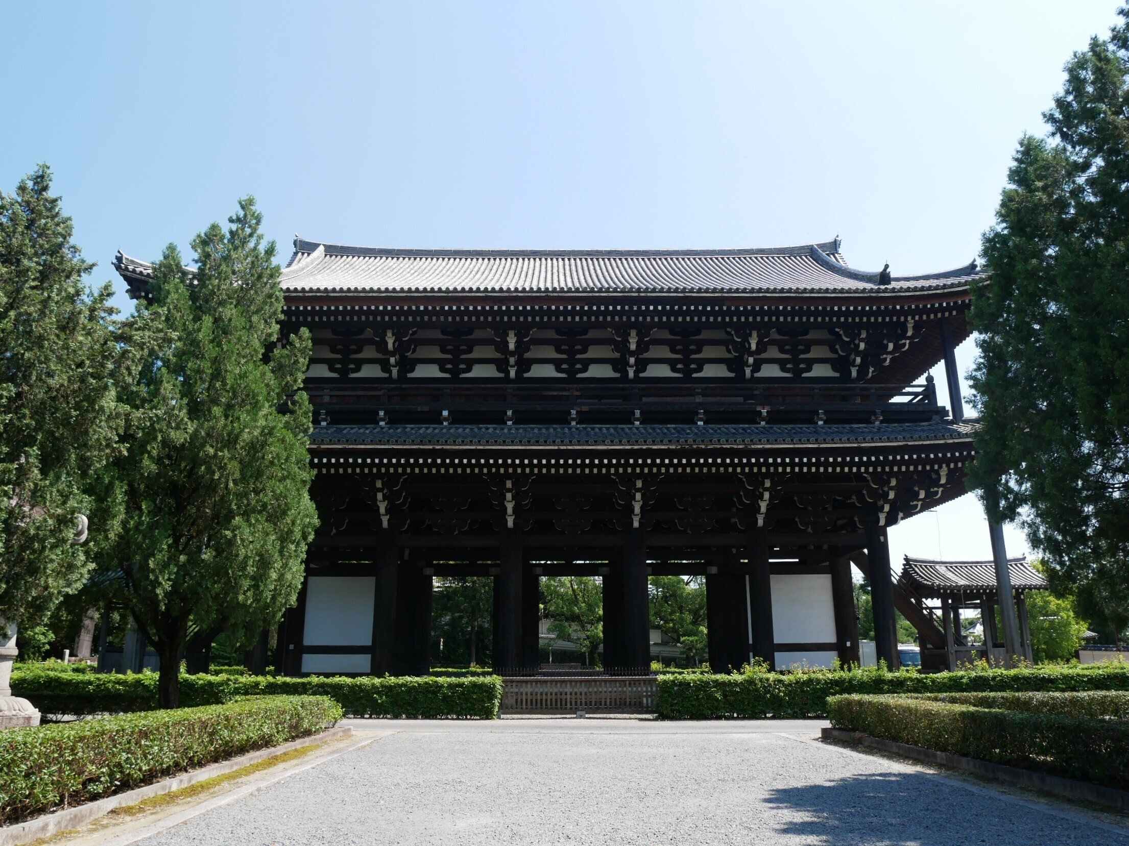 598 夏の京都・東福寺散策｜ミヤコカエデ（Miyako Kaede)