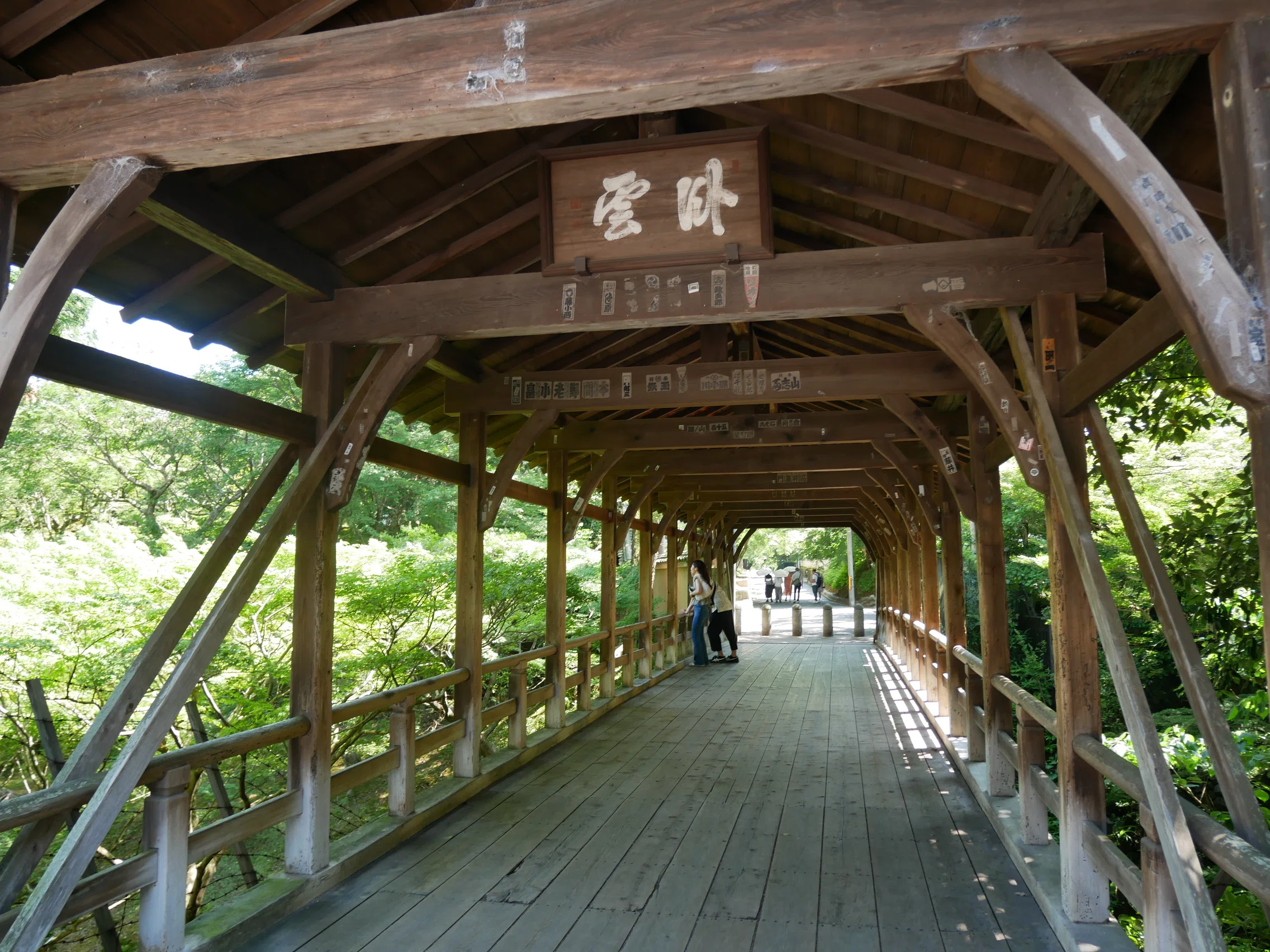 598 夏の京都・東福寺散策｜揺蕩う旅人・なお（ミヤコカエデ）