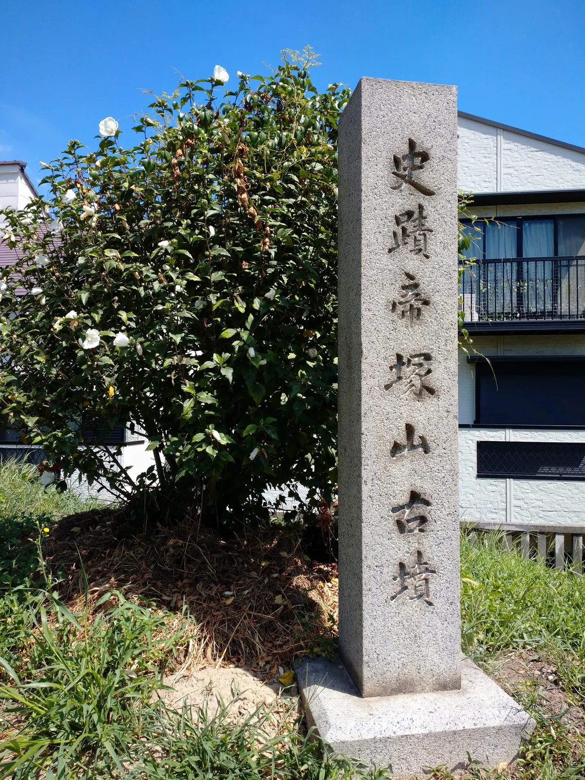 Diligent things are likely not elegant [Tezukayama Kofun]｜マメノス🤖