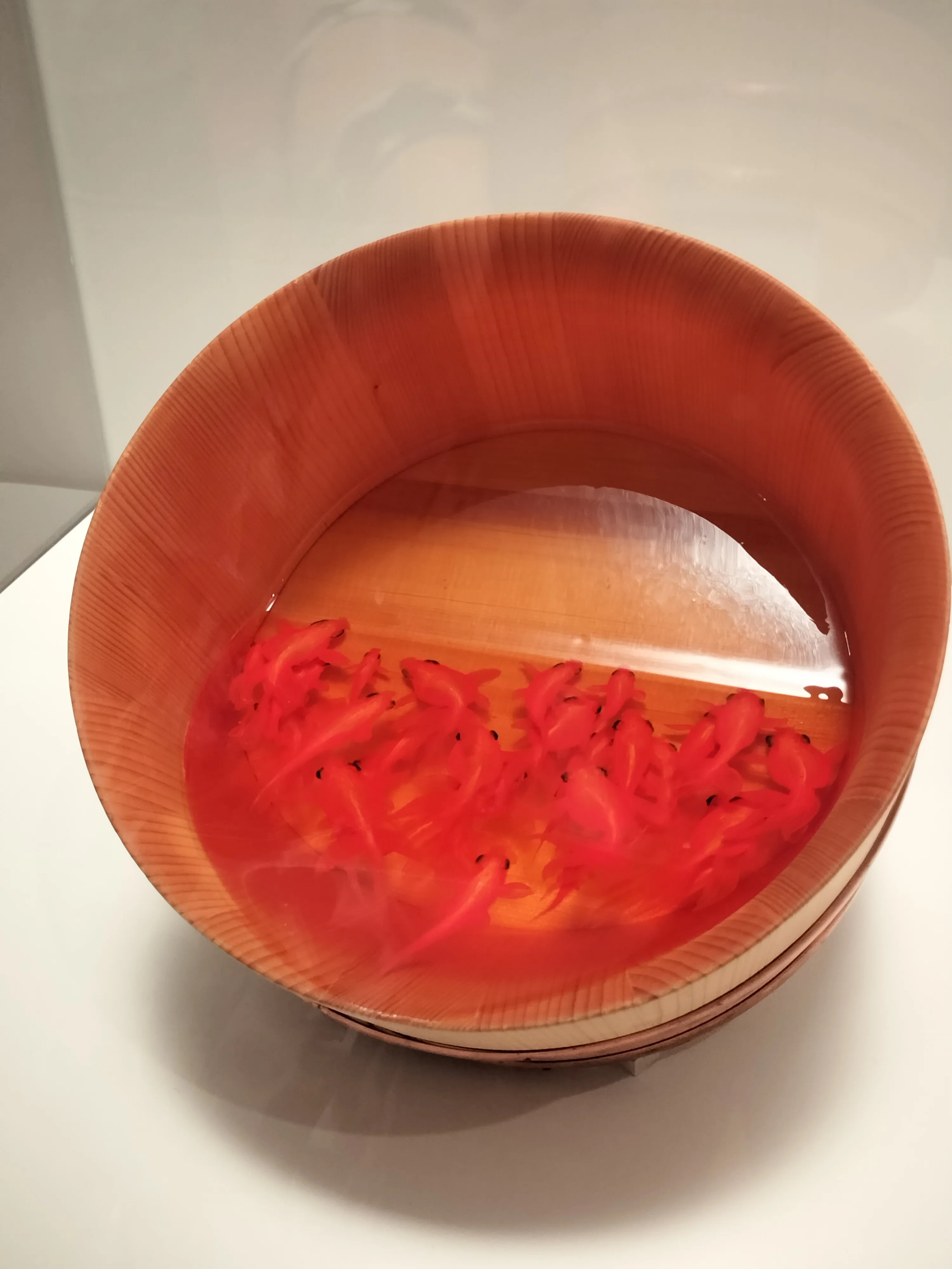 金魚絵師深堀隆介展‐水面のゆらぎの中へ‐に行ってきました｜黒崎すみれ