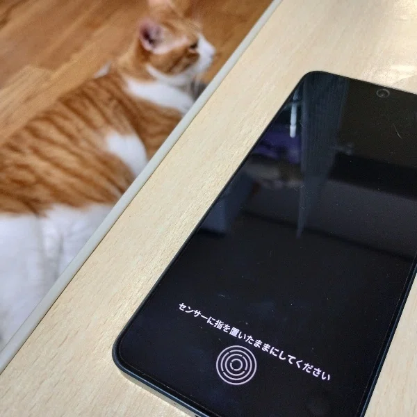 買ってたった2か月のOPPO reno11Aをすぐに手放すことになった悲しい私