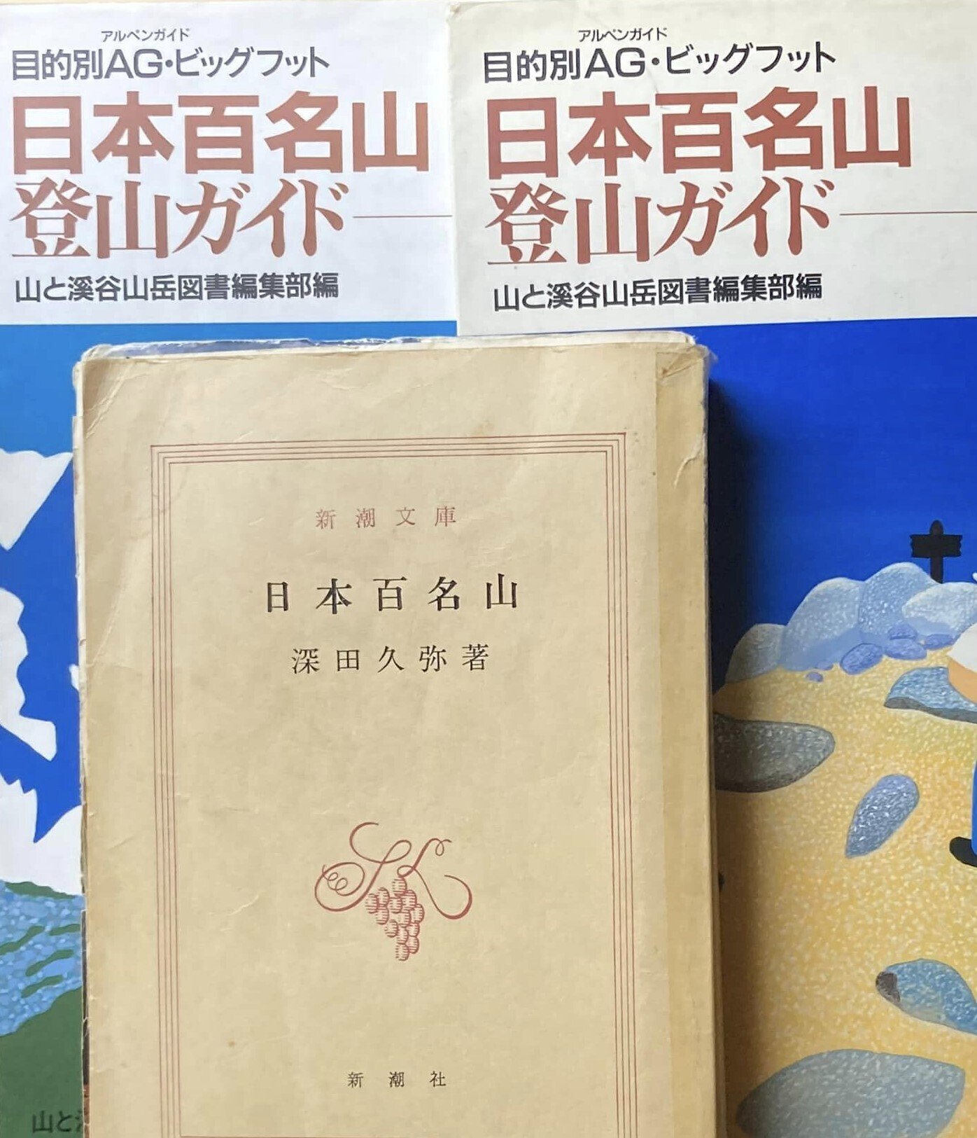 山登り人生VOL663再び日本百名山へその1薬師岳 ｜させぼ山酔