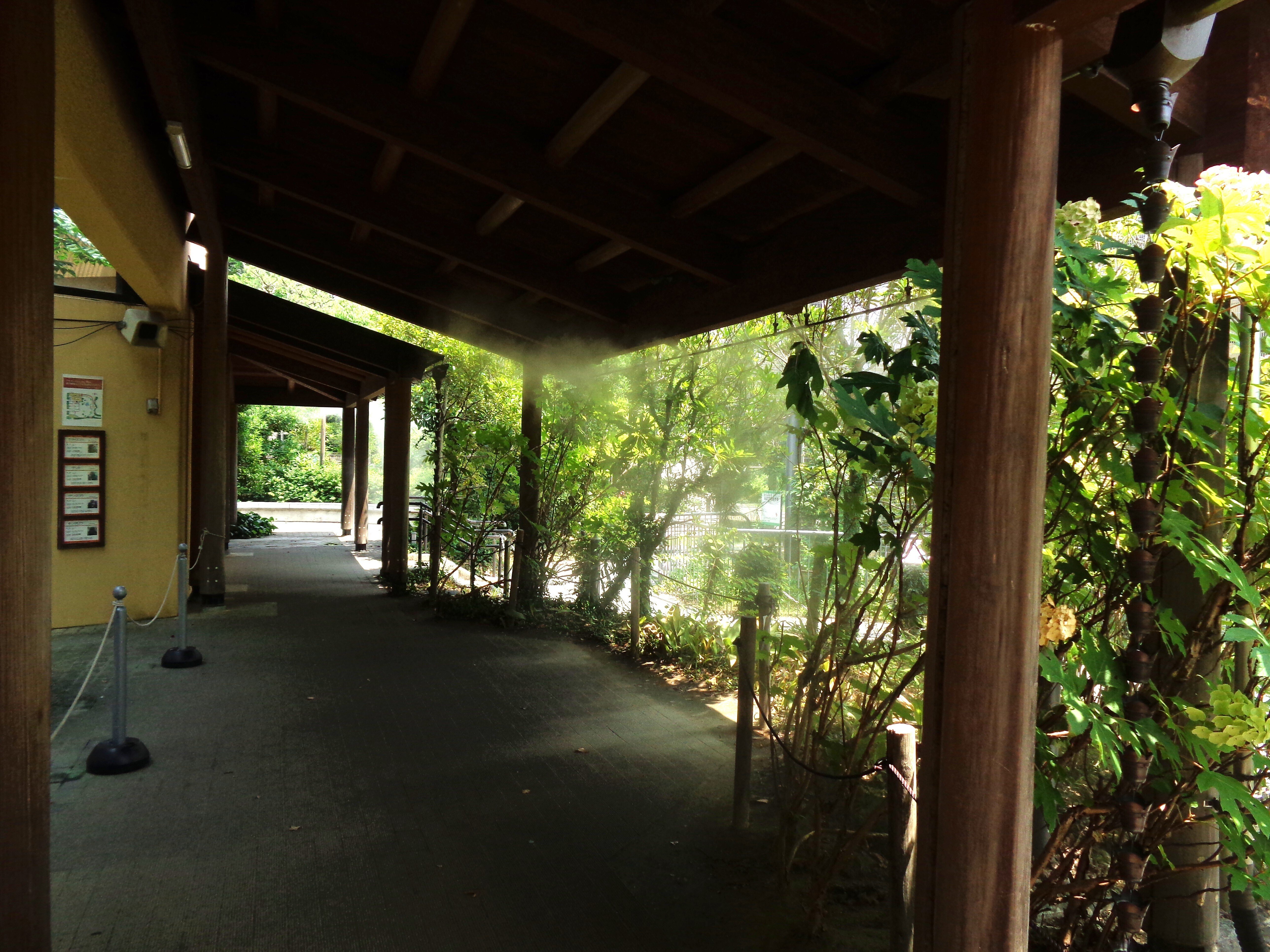 日本ゴリラ化計画】京都編2025夏①来たよ灼熱の京都市動物園｜え