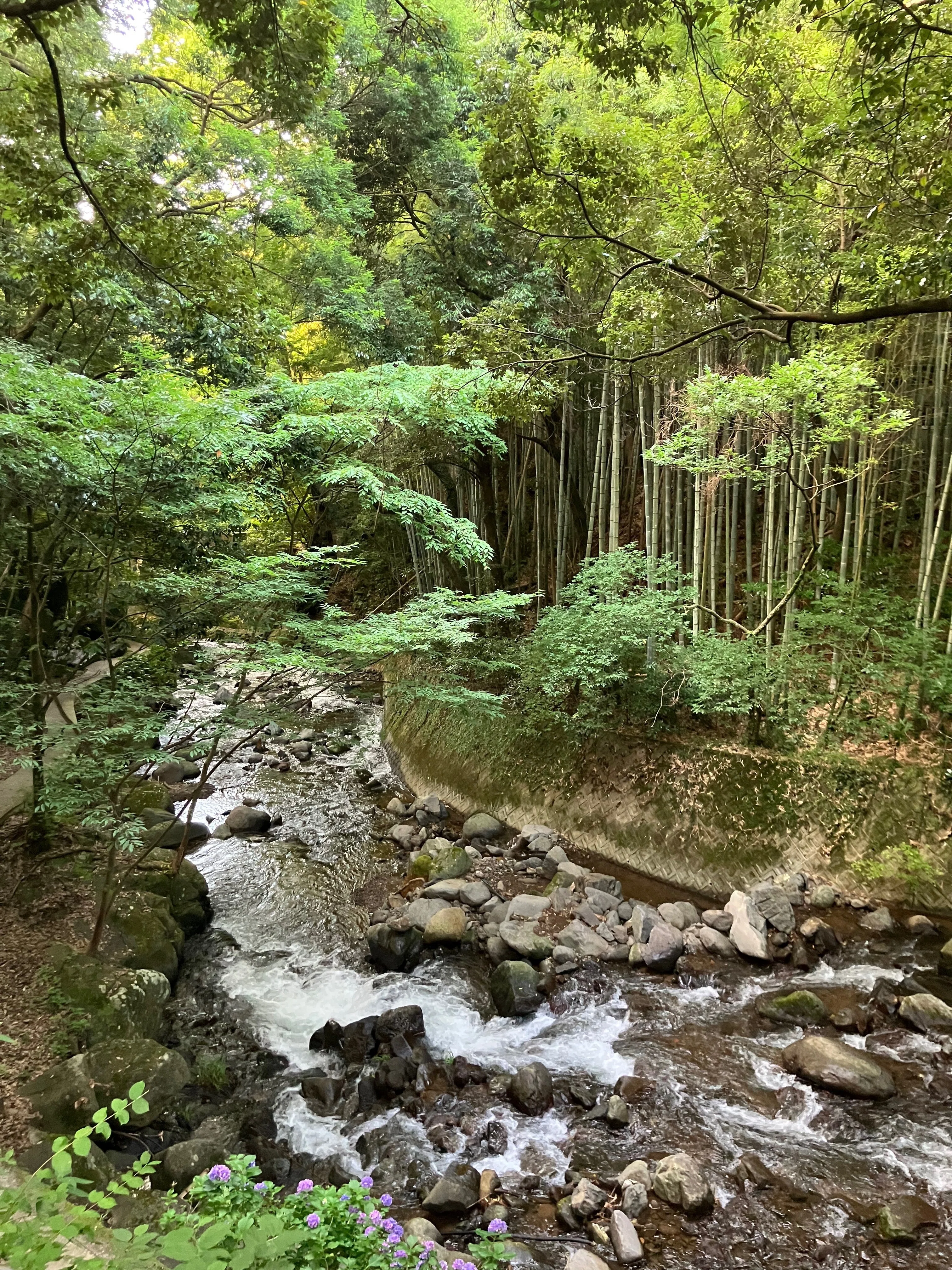 備忘録】湯河原2泊3日｜くまきち