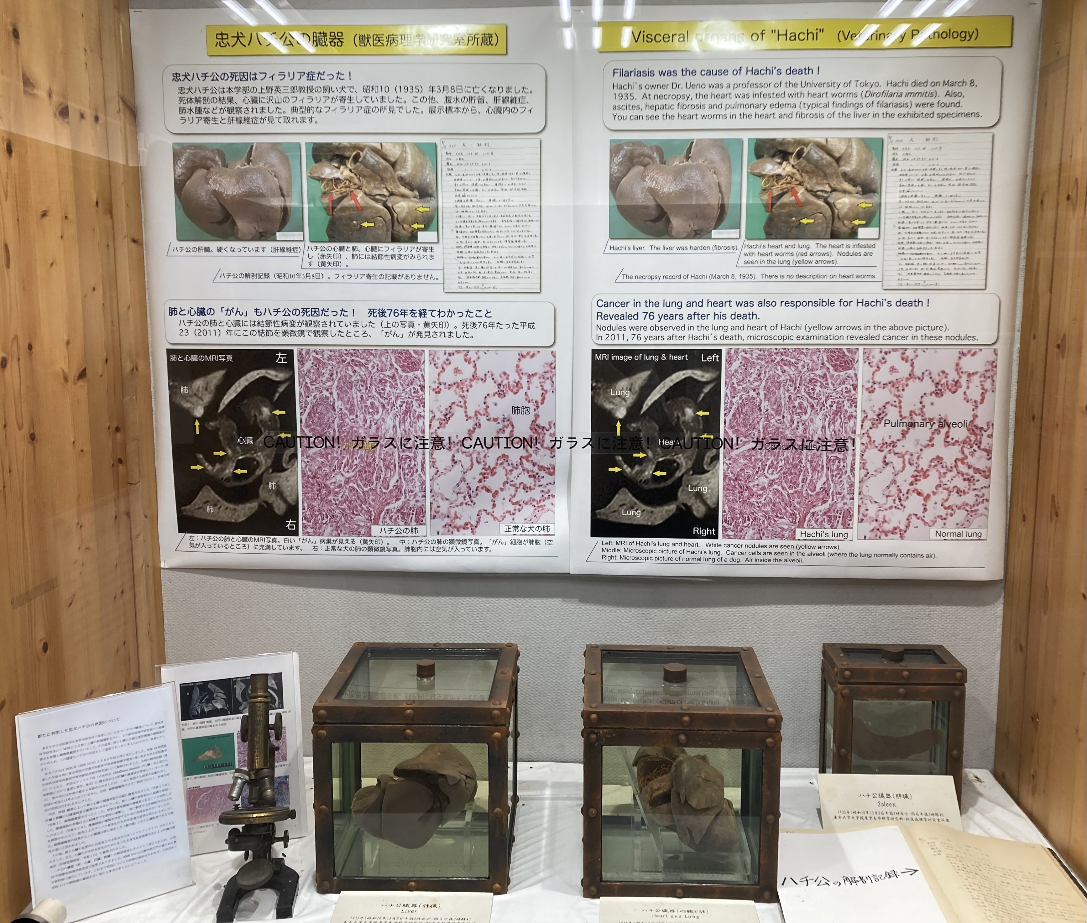 🐾32 渋谷ハチ公像｜mimi