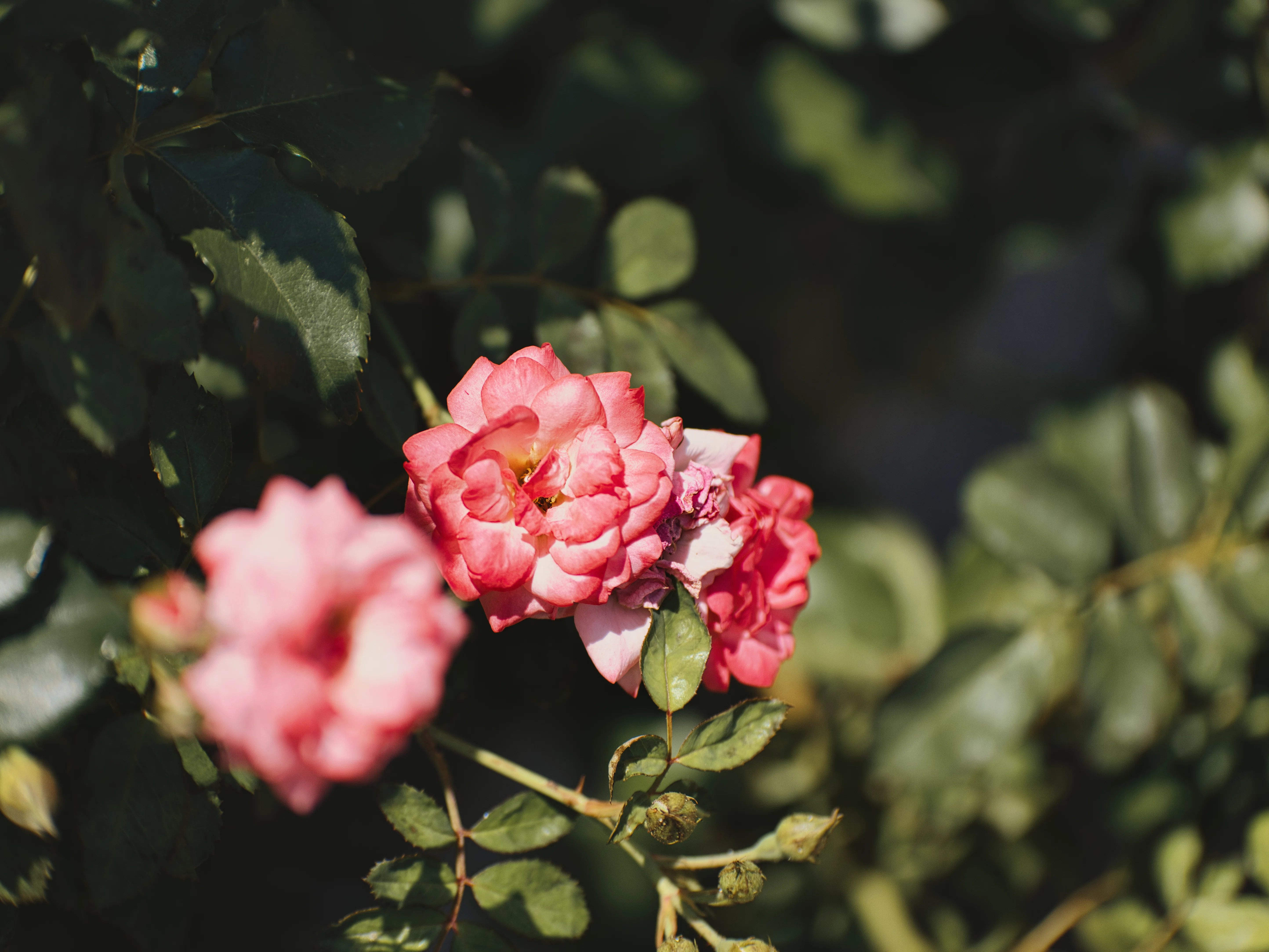 LUMIX G X VARIO 35-100mm/F2.8/POWER O.I.S』横浜へ。[作例あり
