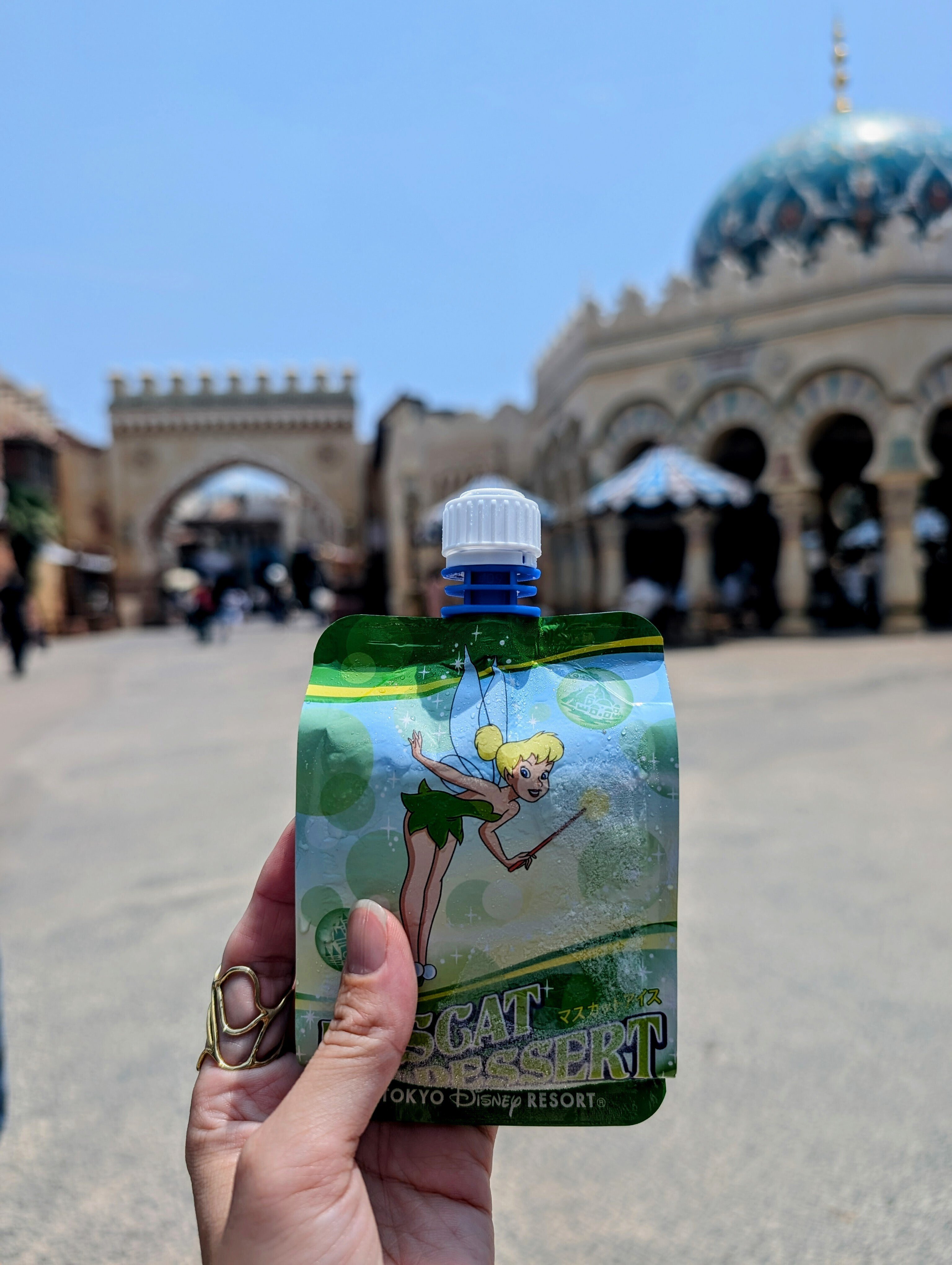 10年ぶりのディズニーシーでピーターパンに感動🧚‍♂️｜shima｜旅行と