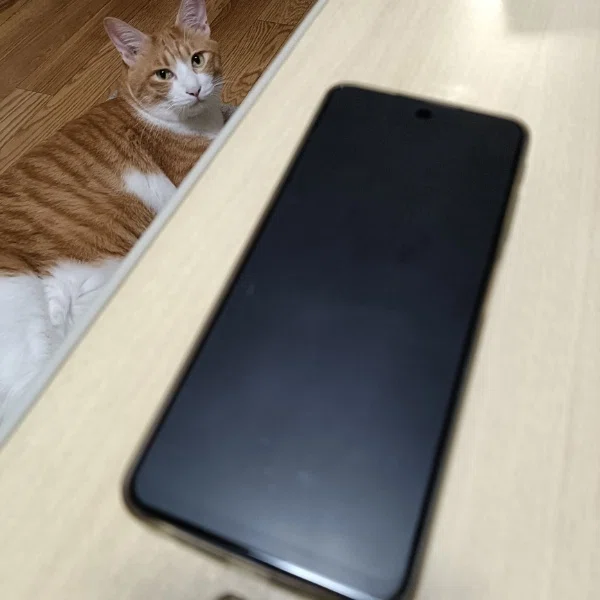 買ってたった2か月のOPPO reno11Aをすぐに手放すことになった悲しい私
