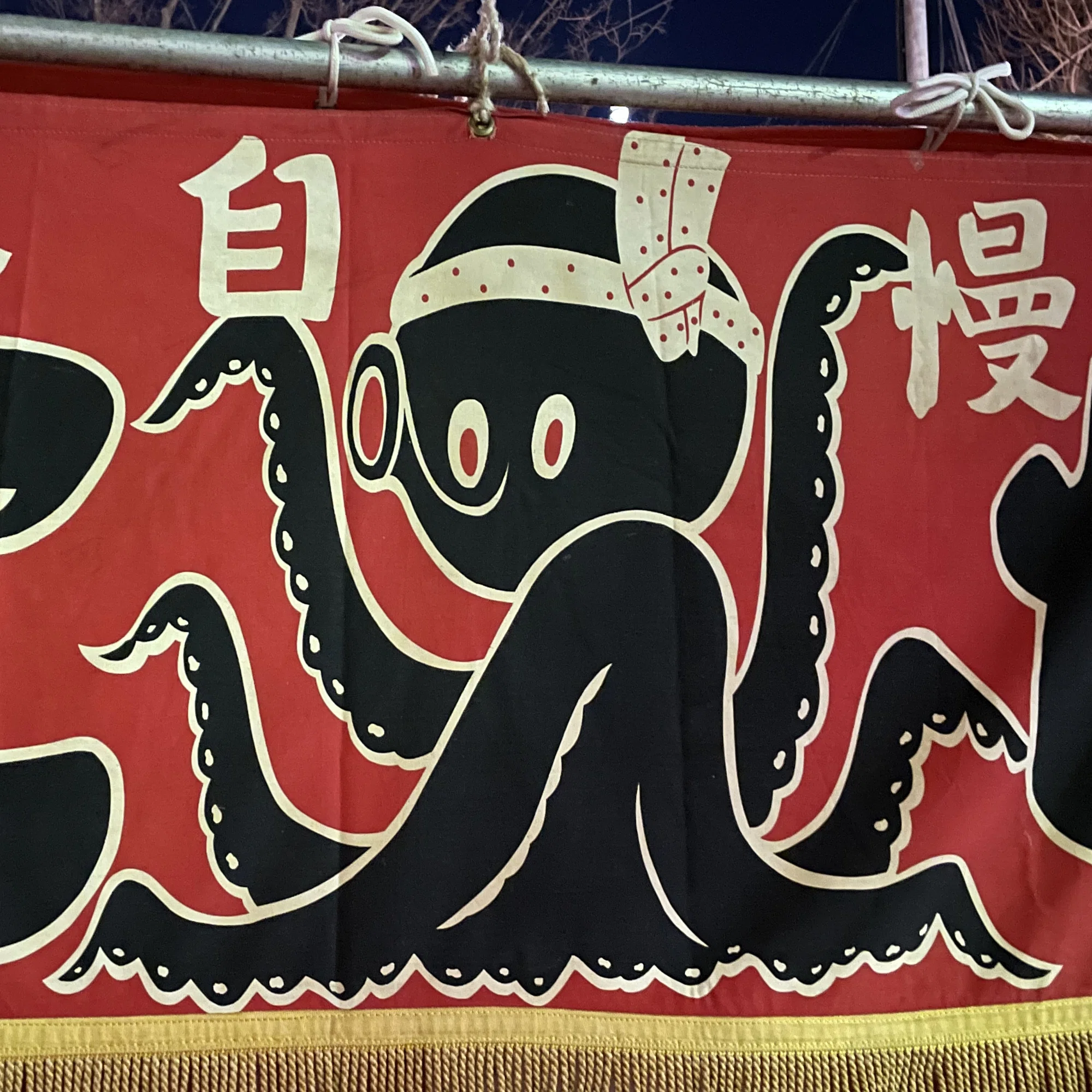 タコを追う｜シラカワリュウ