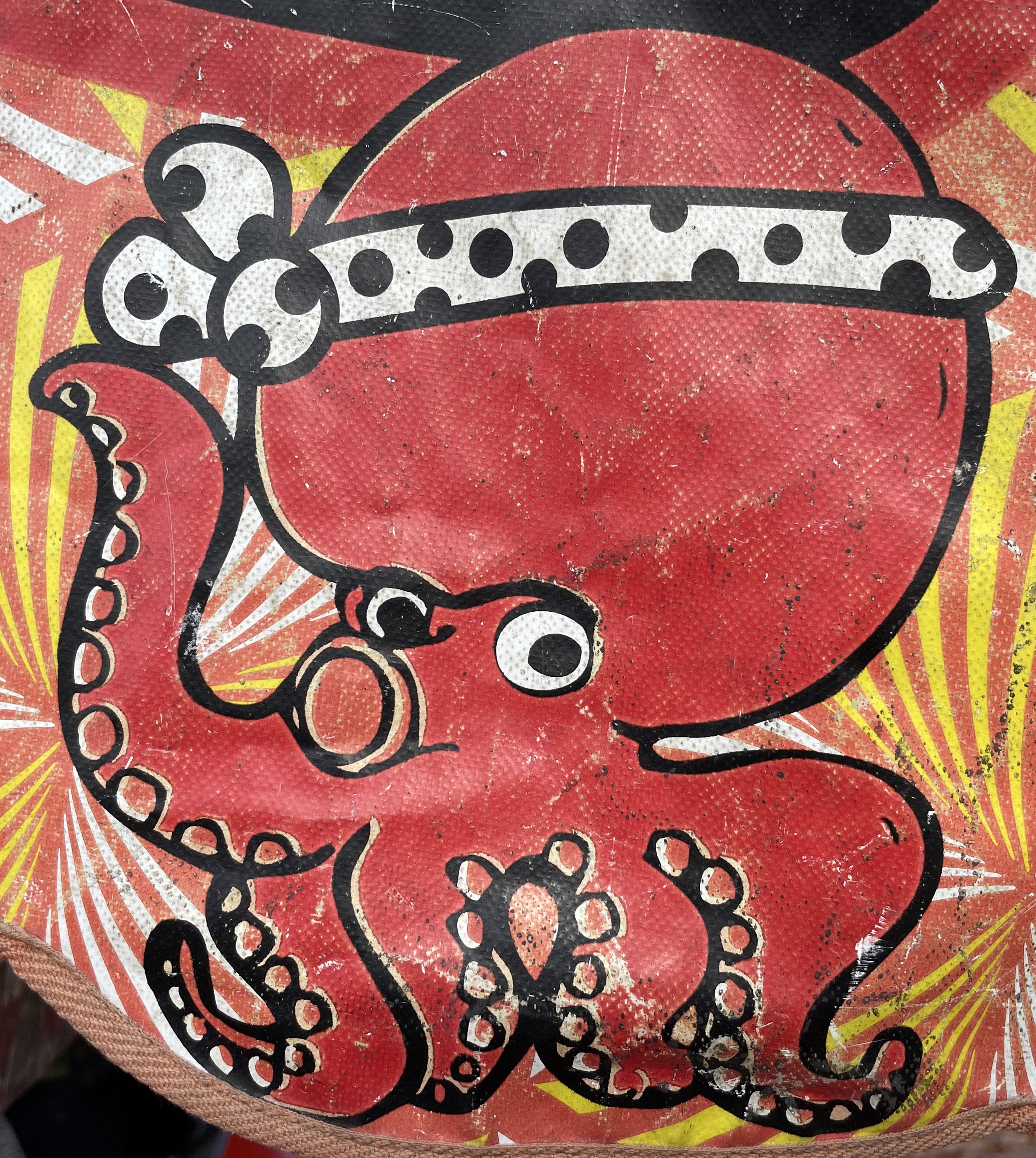 タコを追う｜シラカワリュウ