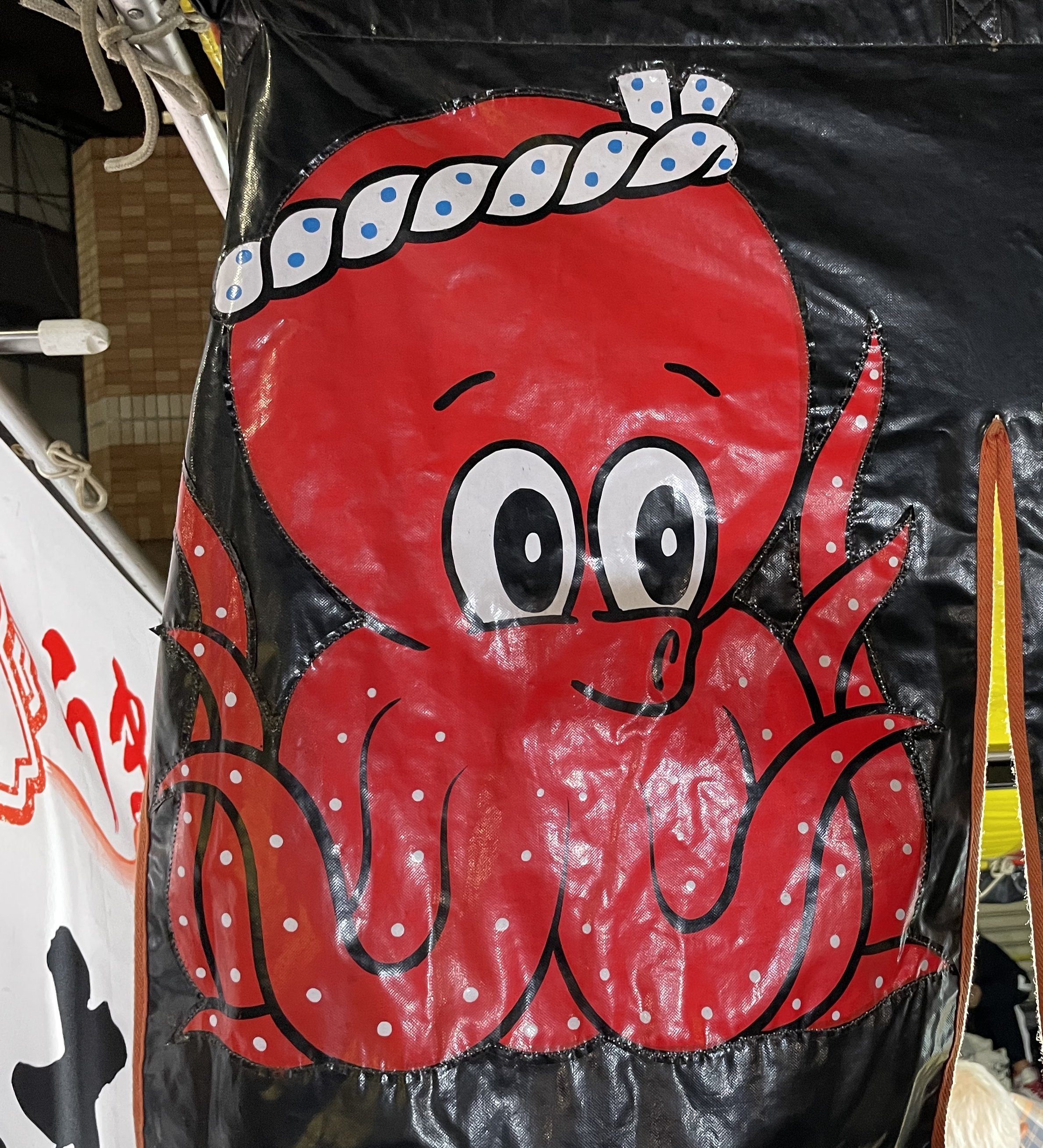 タコを追う｜シラカワリュウ