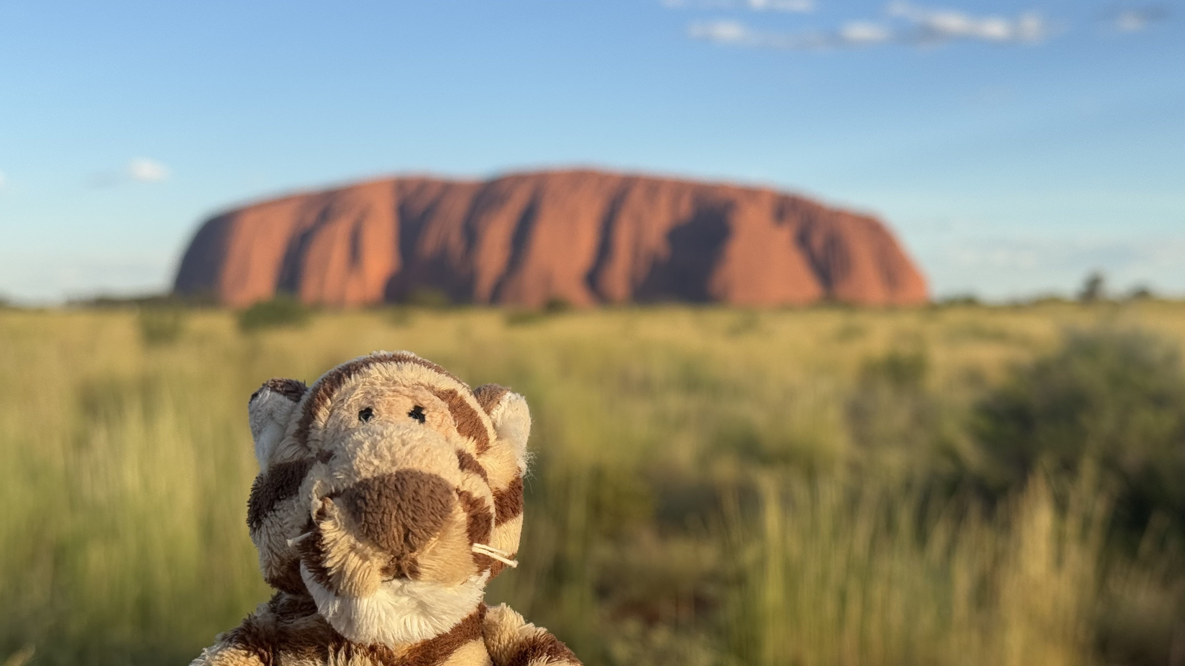 ニュージーランド・オーストラリア年越し旅行の行程【2024-2025年