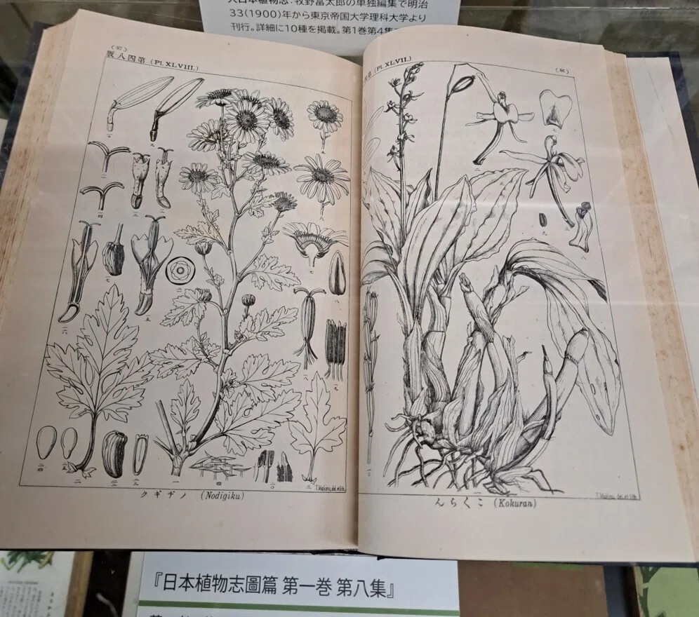 【中古】植物知識 (1981年) (講談社学術文庫) 植物知識 (1981年) (講談社学術文庫) 【公式通販】
