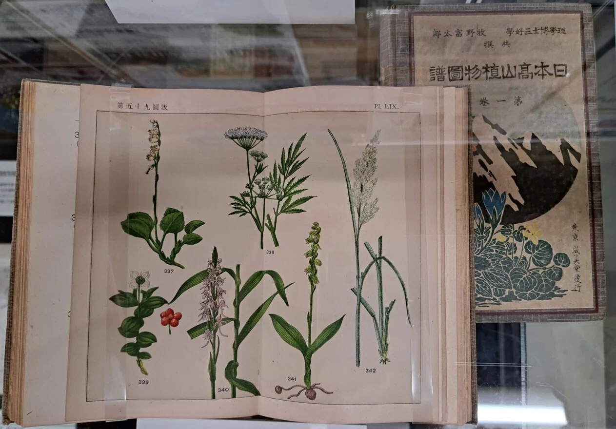植物画とは何か＞（1）：植物画鑑賞経験、日本絵画と植物、ヒルマ