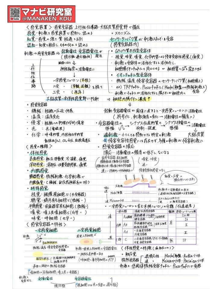 新生理科学大系 9 感覚の生理学 新生理科学大系 9 感覚の生理学 新生理学 (Qシリーズ) | 竹内 昭博