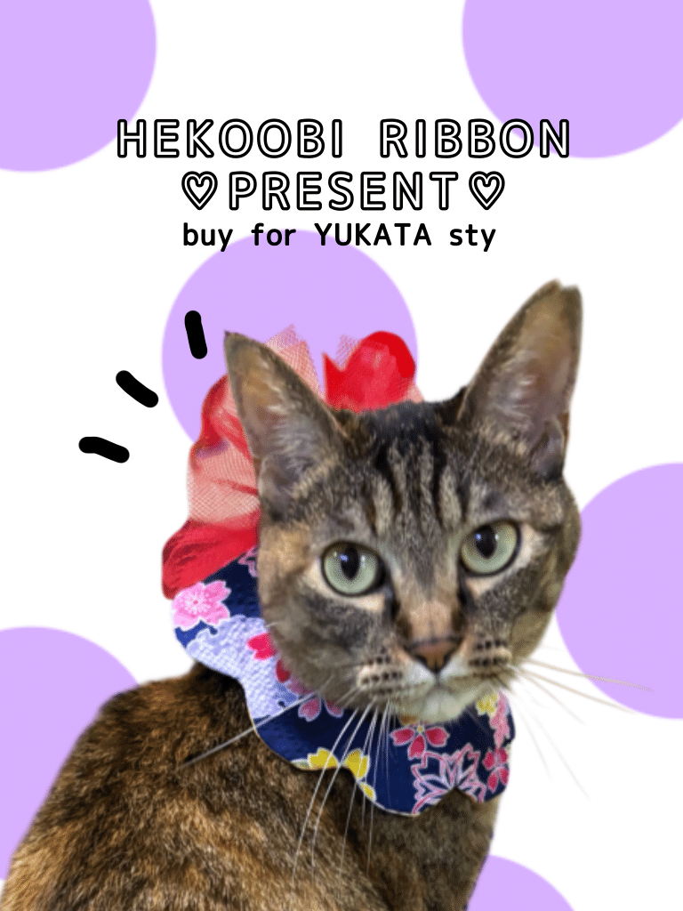 ネコ好きさん 開脚キンタマ。 ・ #猫 #ネコ #にゃんすたぐらむ #僕らの居場所