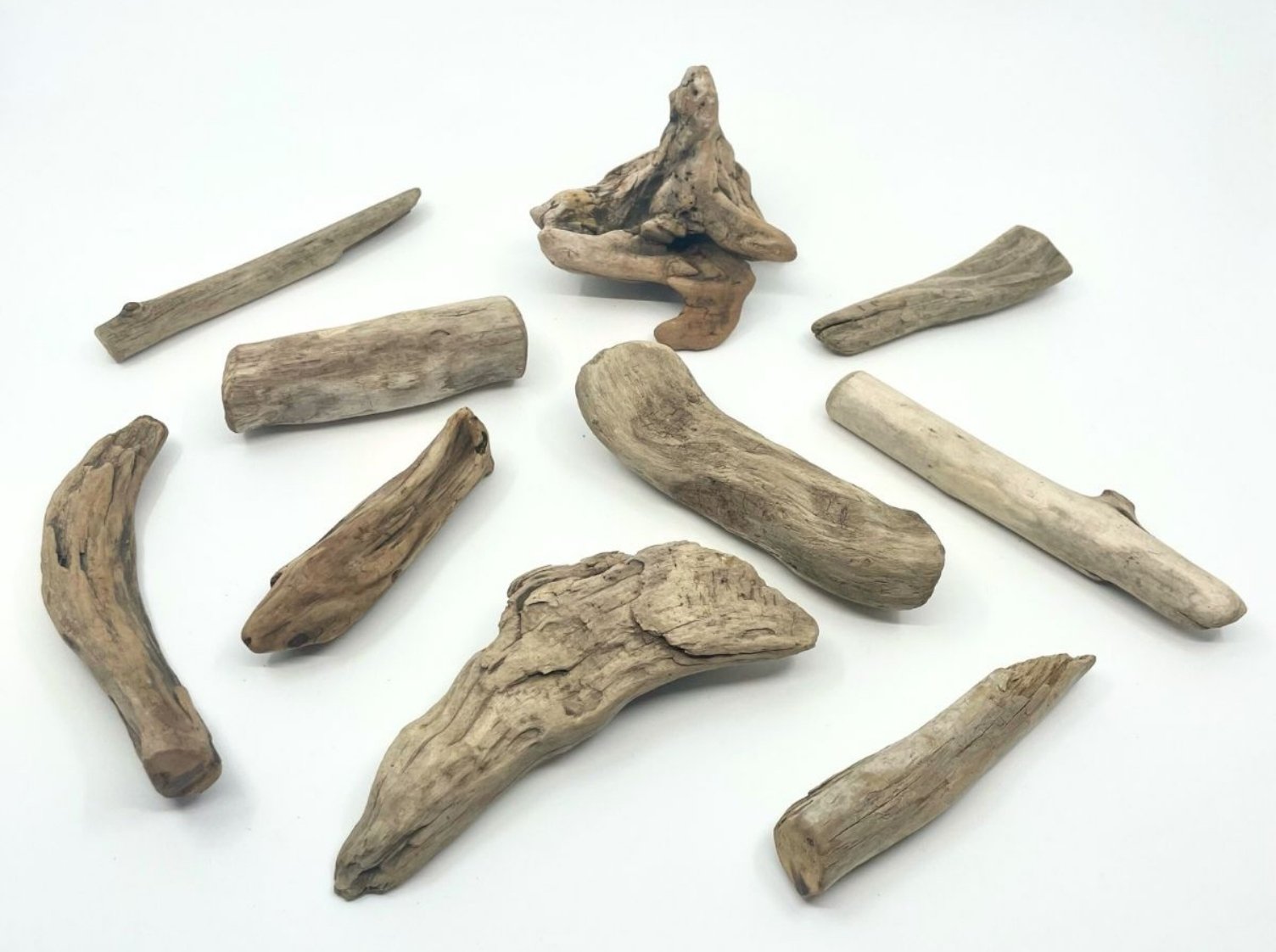 クラフト番長の推しの一品：流木と広葉樹の輪切りで夏休み工作｜美術