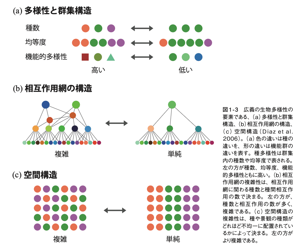 生物多様性は生態系機能やレジリエンスとどう関係するのか ｜河田 雅圭