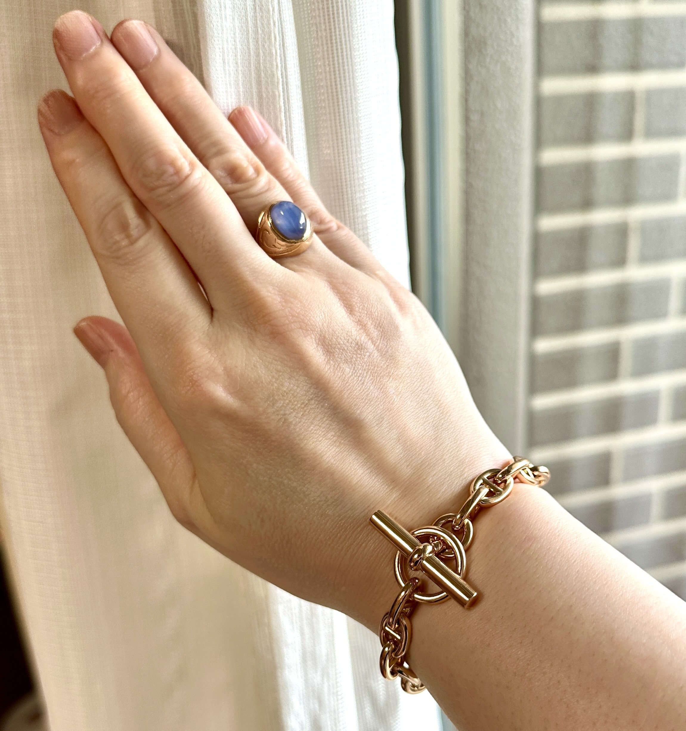 202503…？シェーヌ・ダンクル、ゴールドを買う｜尊野怜来@猫と絵と小説