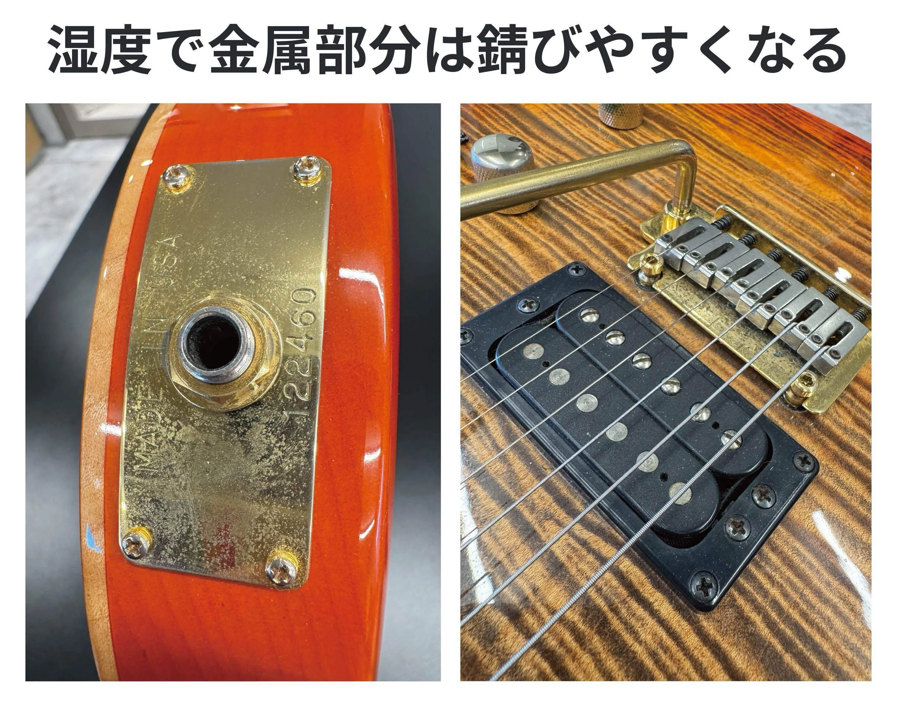 楽器を守る、方舟のような守護神。「Soundmaker ギター保管庫 MMF-1