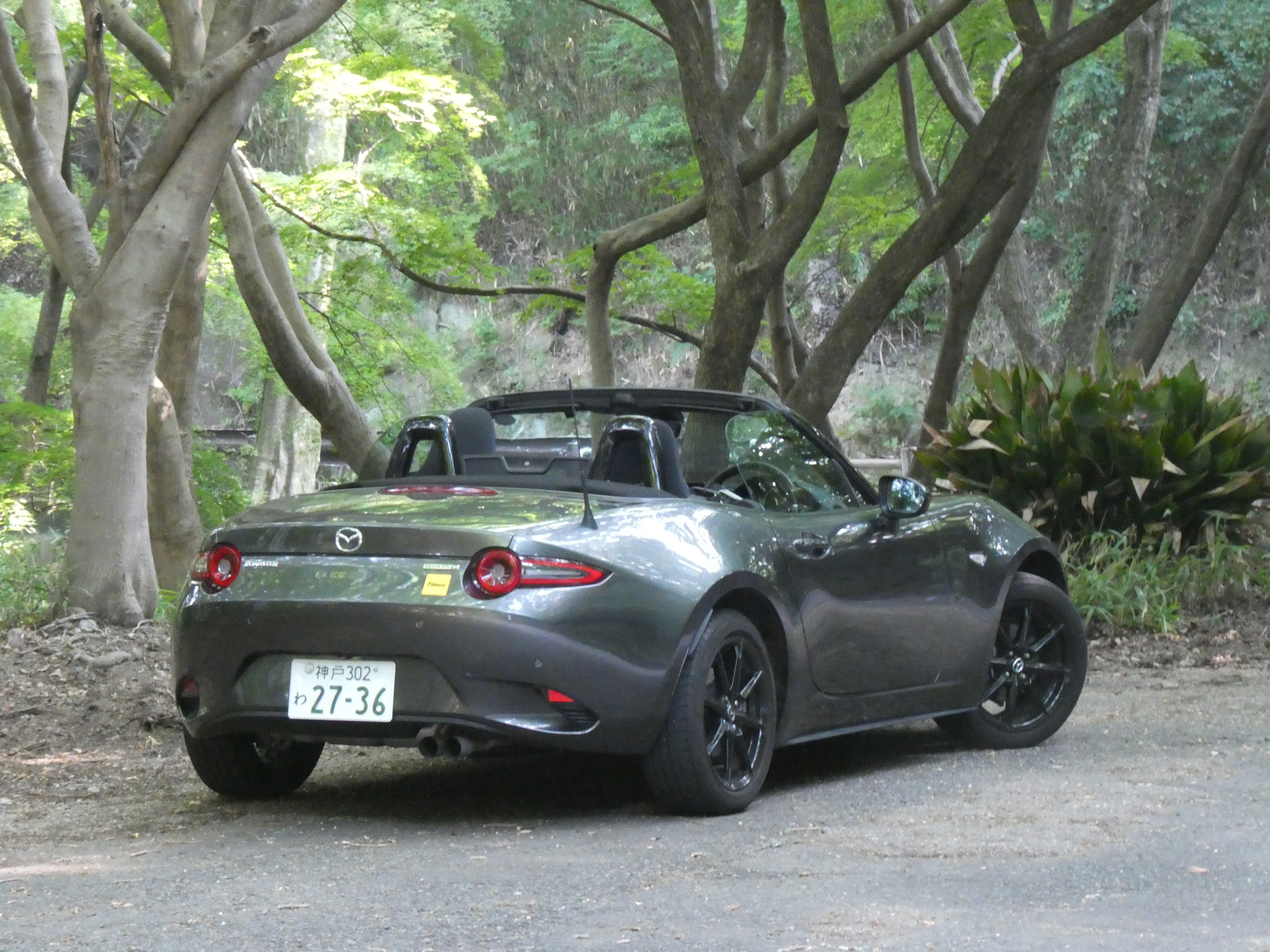 のりたまδの炉辺話】うまくいきすぎると不安で、なんにもないほうが