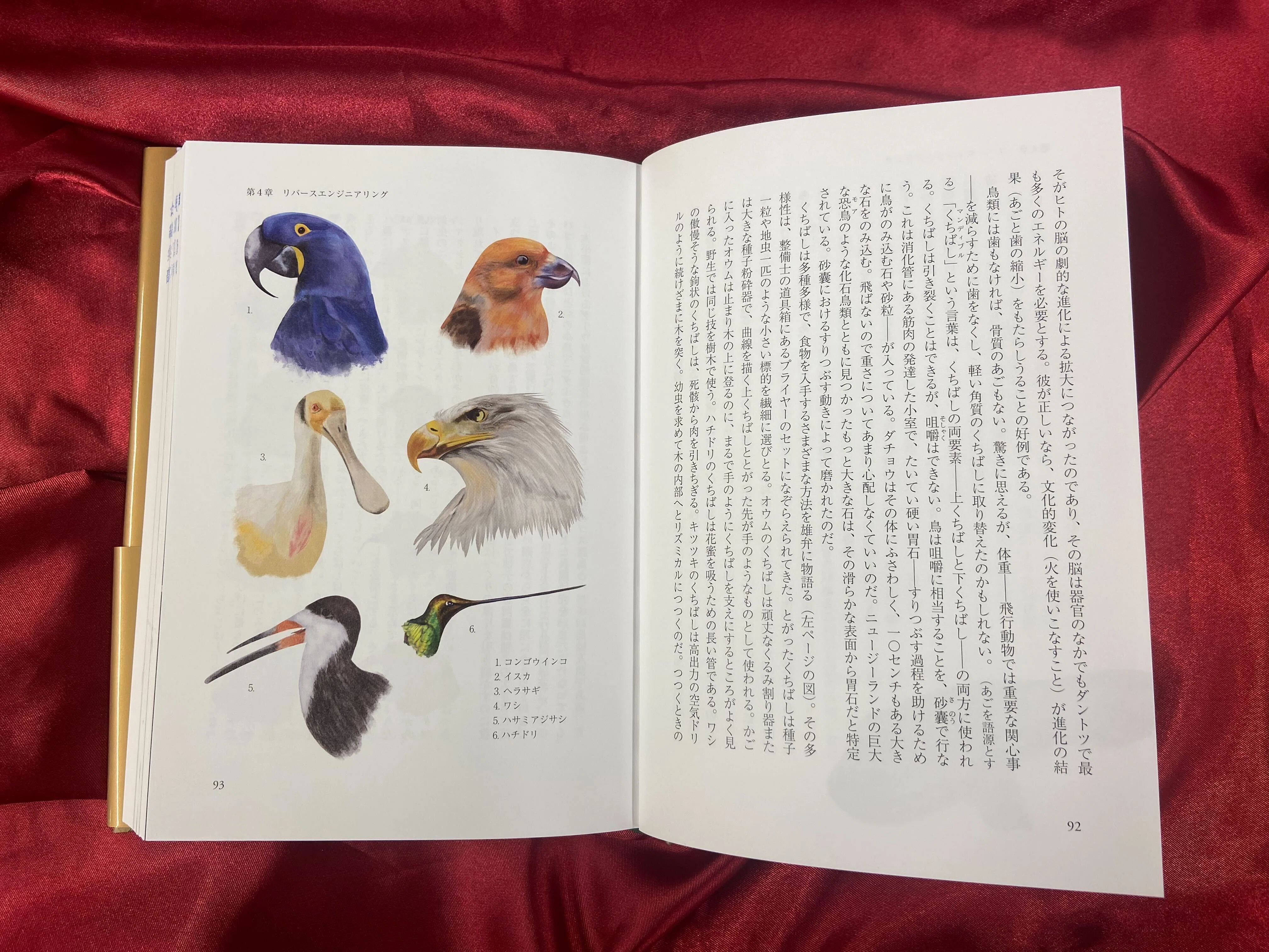 豪華な造本で贈る、リチャード・ドーキンス畢生の書！ 『遺伝子は不滅
