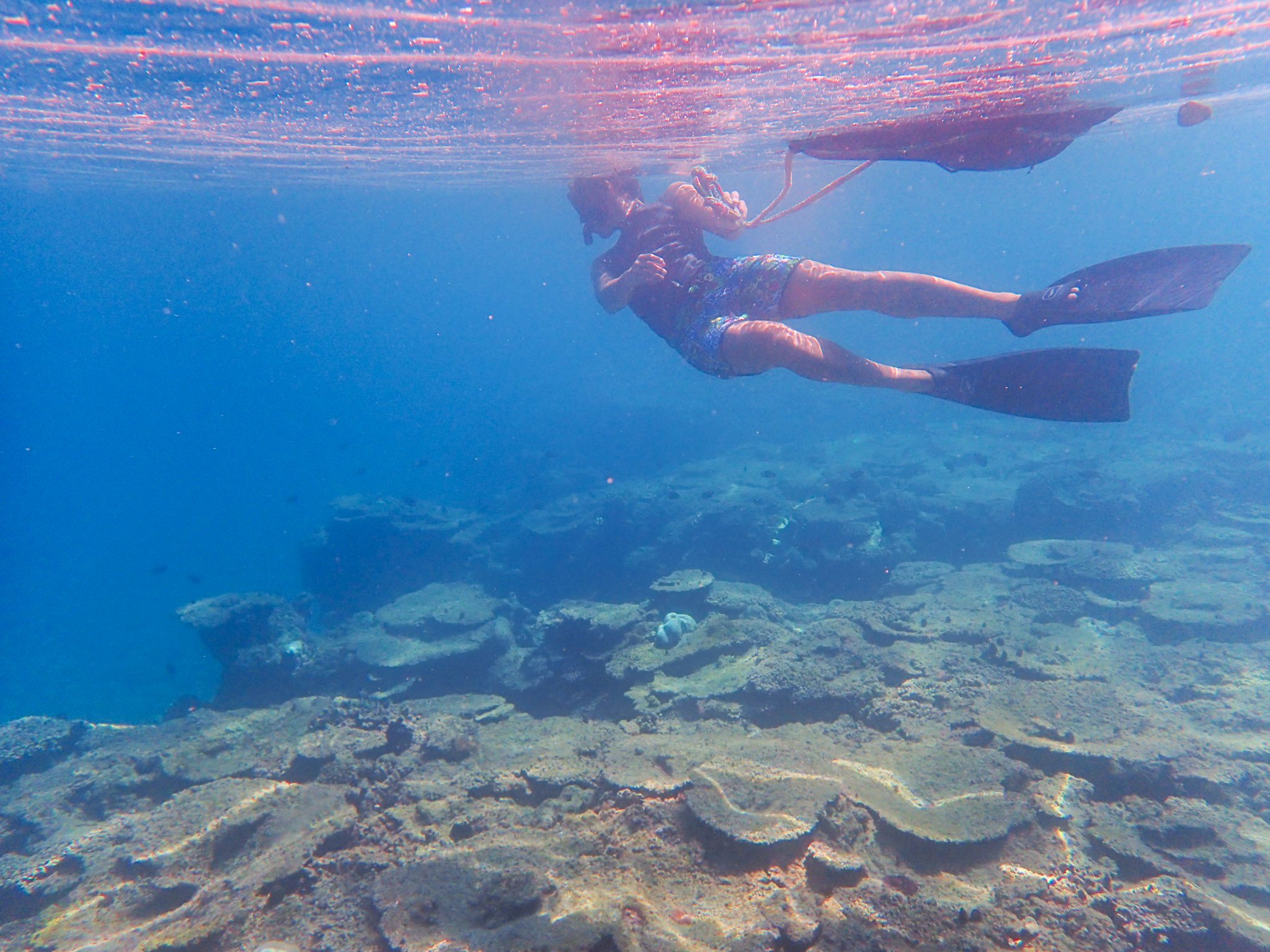 希望が丘ビーチでシュノーケルツアー参加したら、ウミガメ見れた