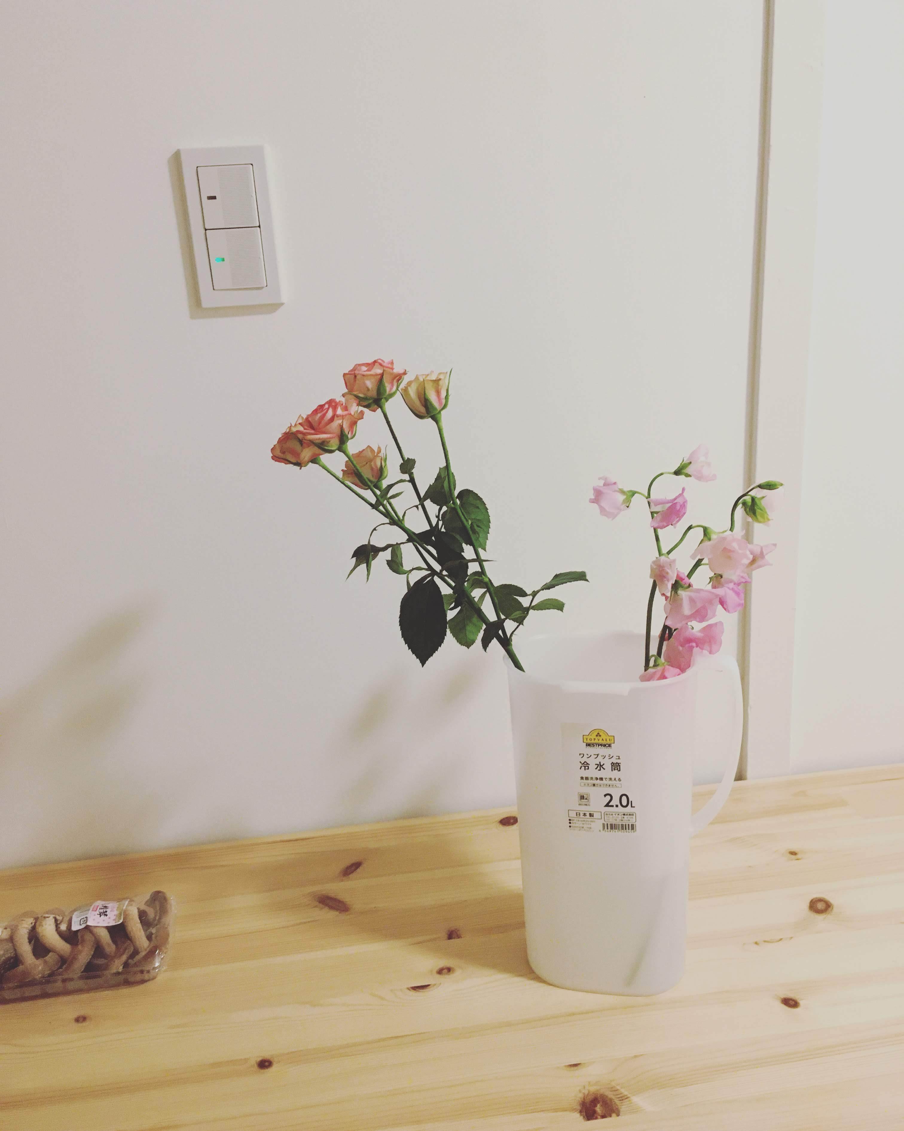 すべてを失い、「ミニマリスト」になった私がまたモノを持つまで｜MEZ