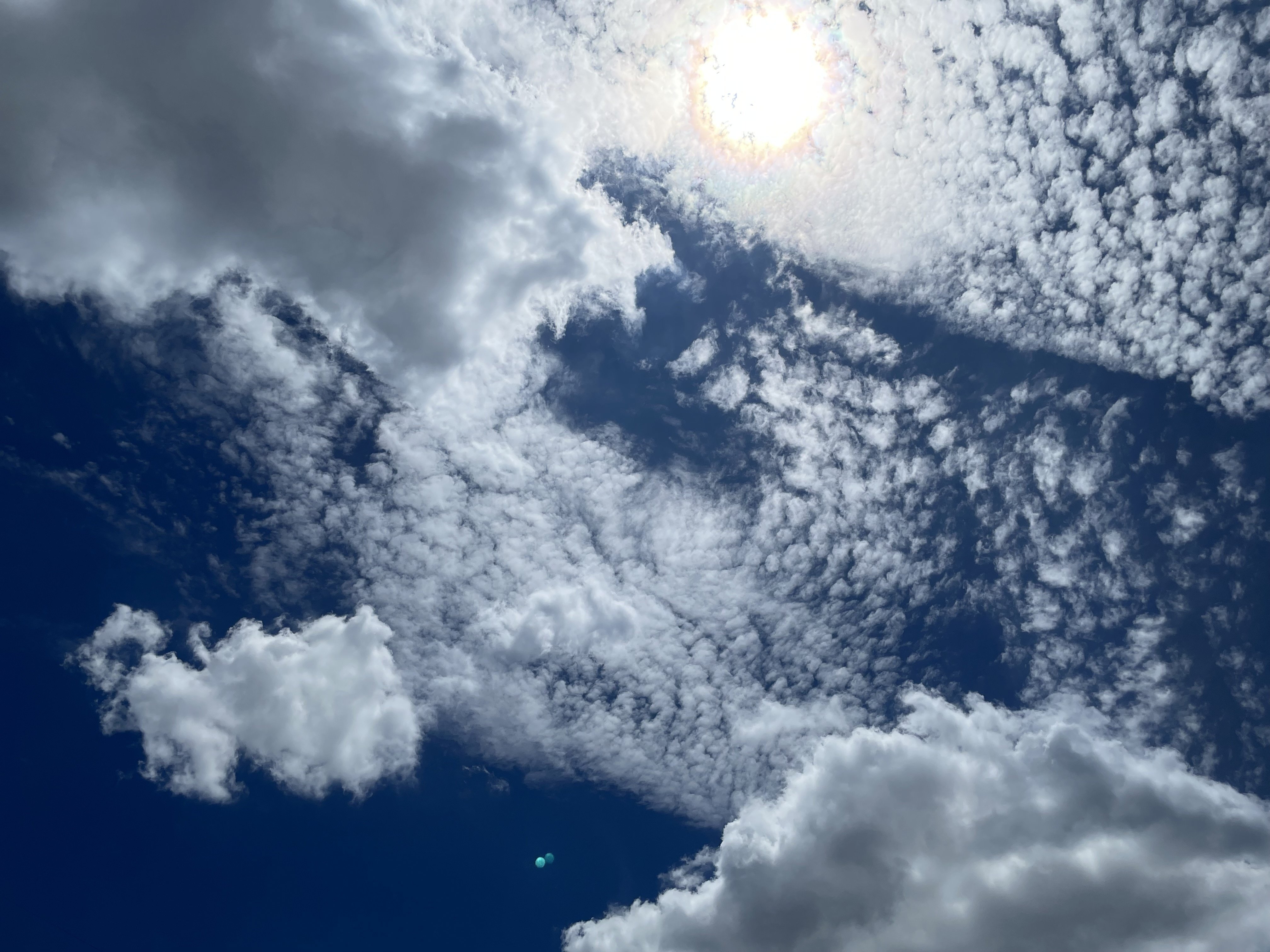 夏の雲 2025年7月10日 夏の雲｜ExportControl