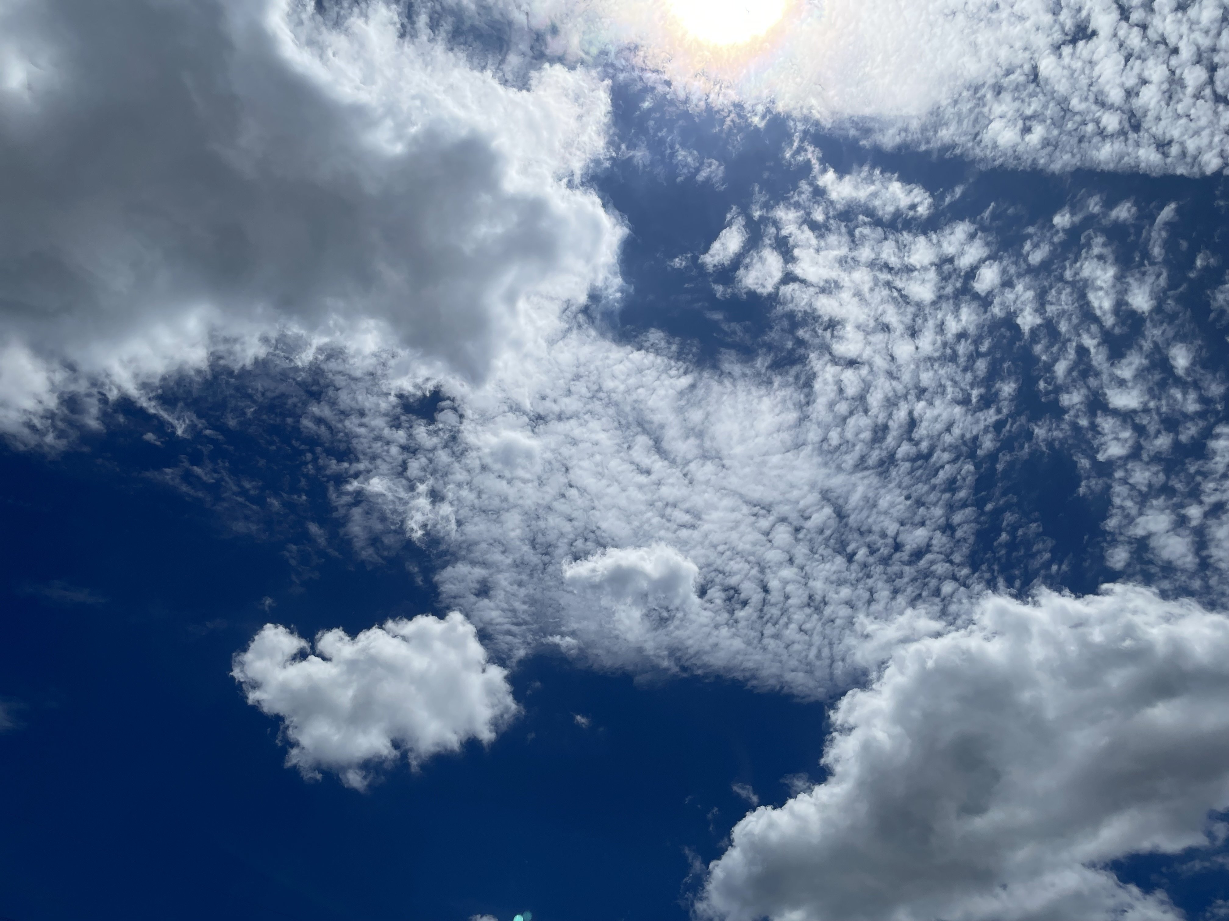 夏の雲 2025年7月10日 夏の雲｜ExportControl