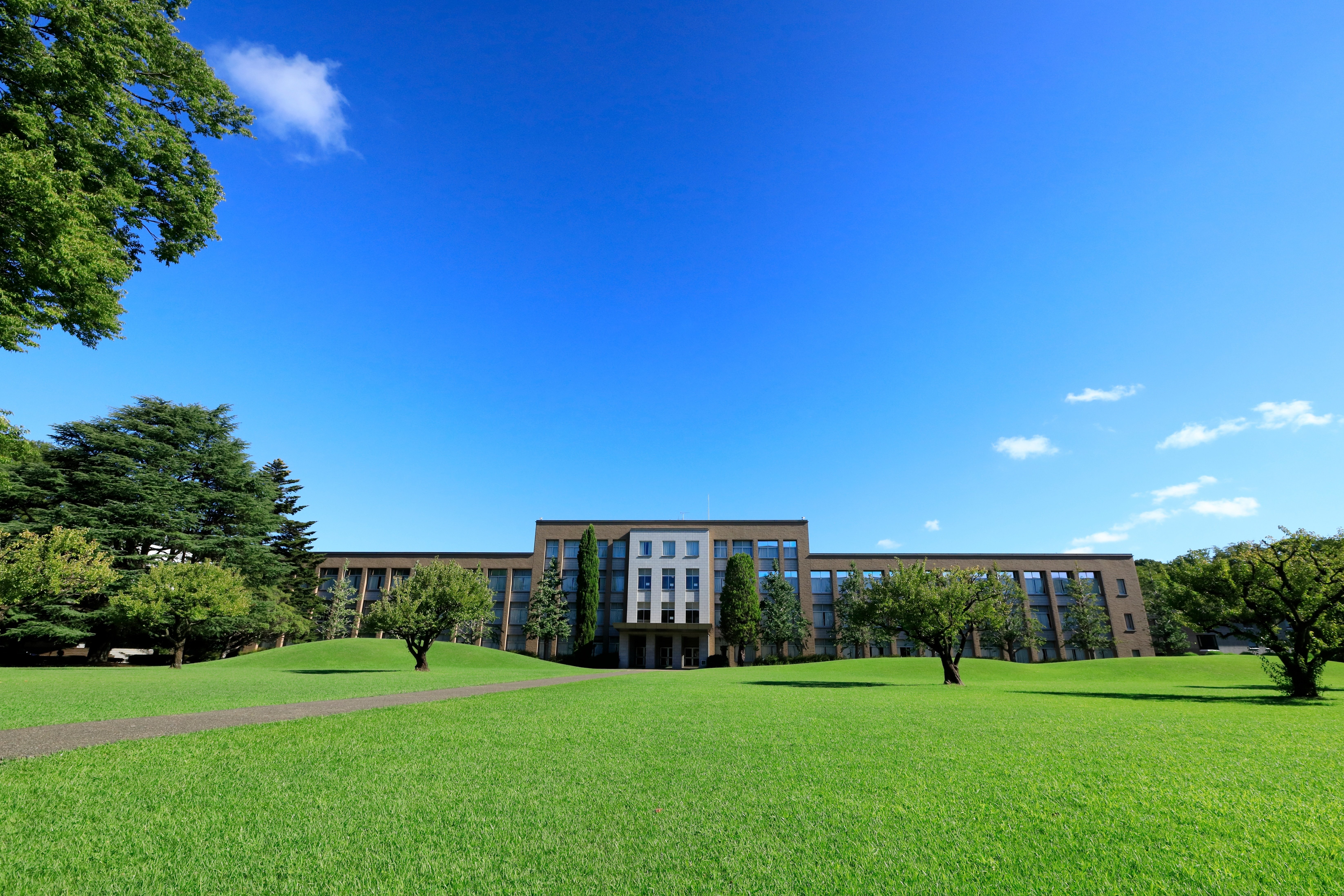 【中古】 ＪＡＲ＆Ｉミッション大学 上智大学・青山学院大学・立教大学・国際基督教大学/世界文化社 71ea+jKjgDL._UF350,350_QL50_.jpg