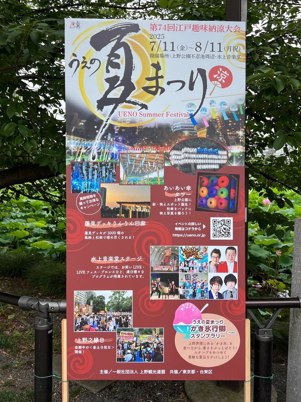 上野不忍池の蓮の花 2025｜ミント