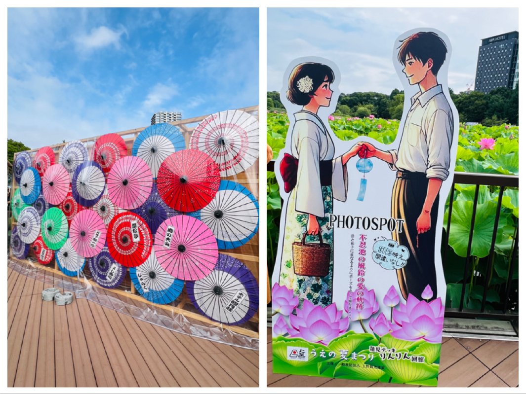 上野の蓮の油絵 蓮の絵画 6 (40X80CM) | セオアートギャラリー