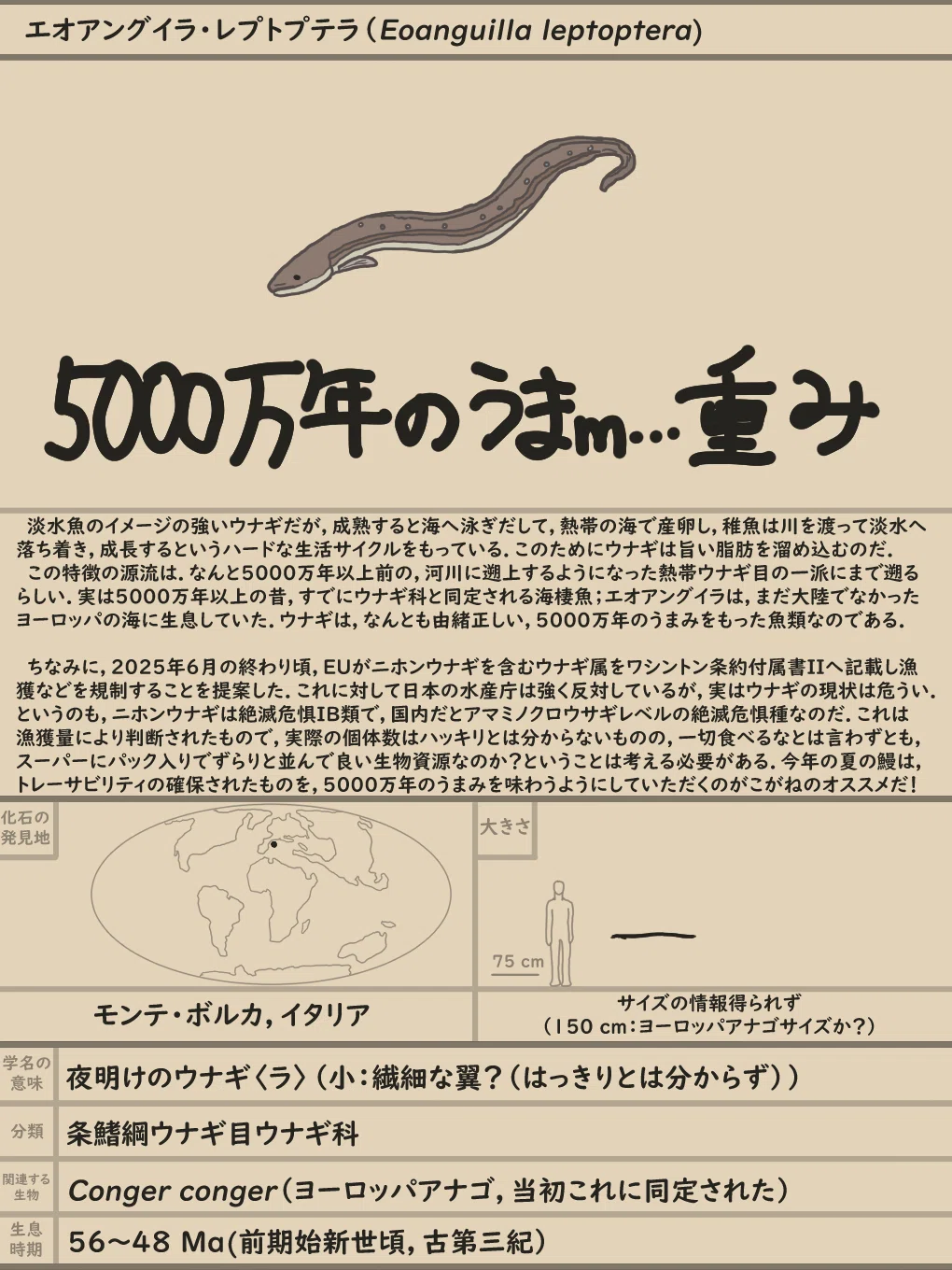 28 5000万年のうなぎの重み エオアングイラ・レプトプテラ｜やんわりッ