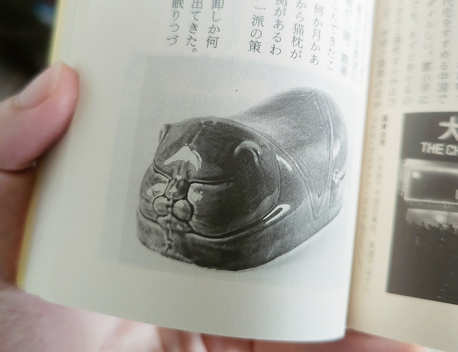 香港世界』山口文憲（ちくま文庫）｜読書感想文119｜Nuts Book Stand