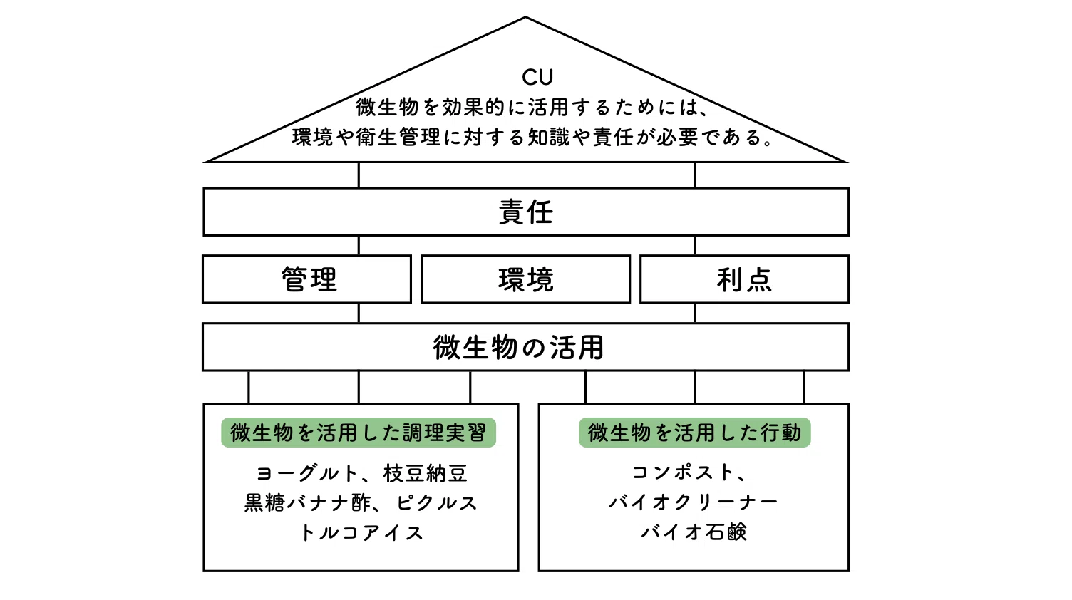 概念型探究のサイクル】自立した学習者になるプロセスとは？＜生物編