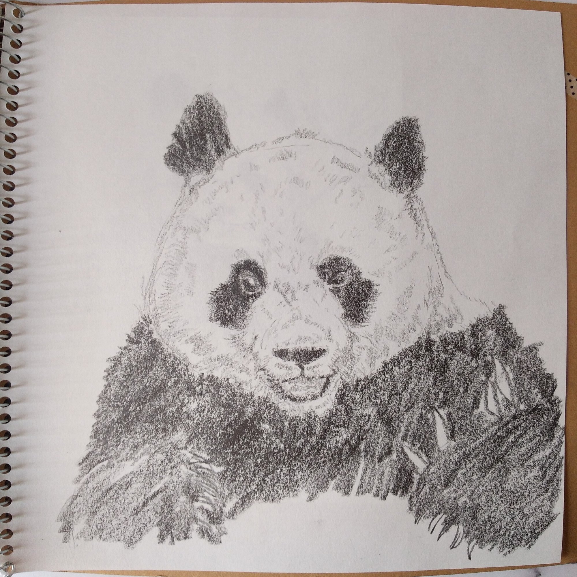 パンダデッサン練習第11週 7/6-7/12｜こひろ@こぎん刺しのテディベア作家kogin＊bear style, image size:1760x2000