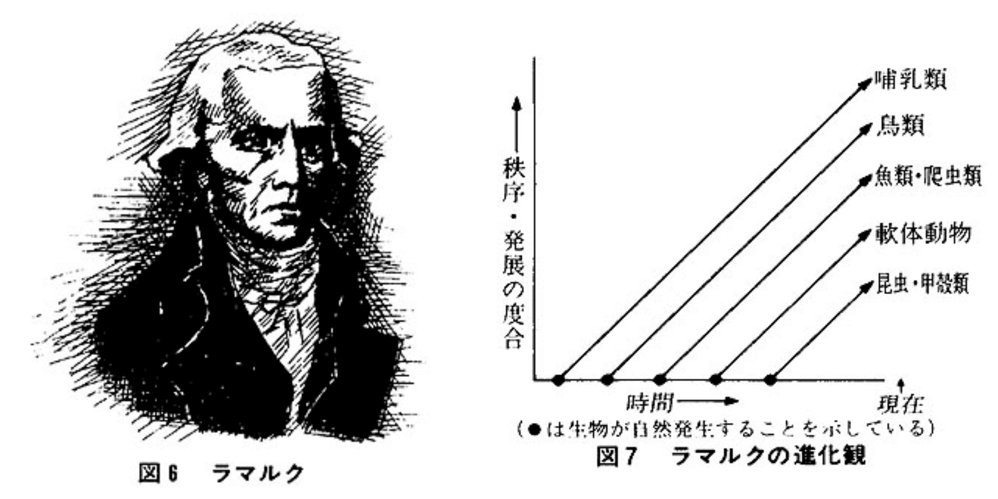 ラマルクと進化論 ラマルクと進化論 | マドレーヌ バルテルミ・マドール