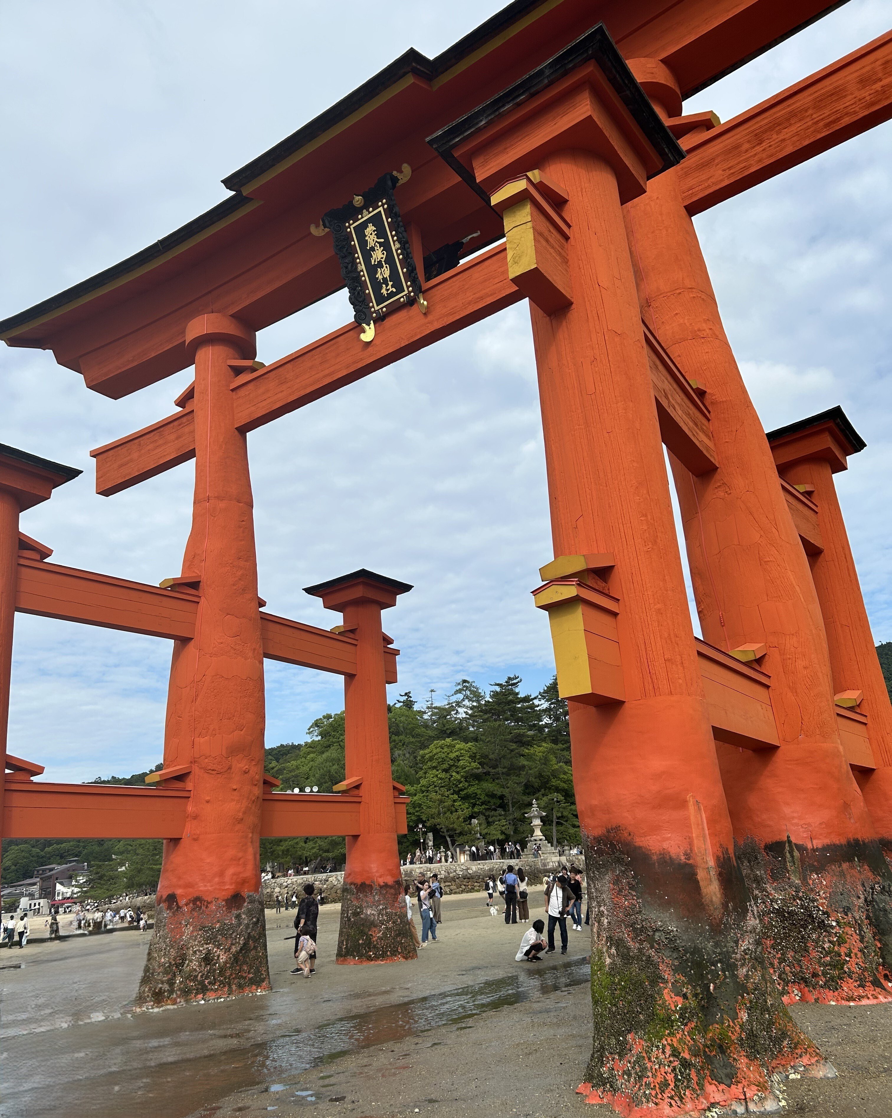 JR　国鉄　行先板　2枚組　宮島管弦祭　安芸中野　岩国　海側、山側？ File:JNR9600- 59684国鉄9600形蒸気機関車59684 石炭記念公園