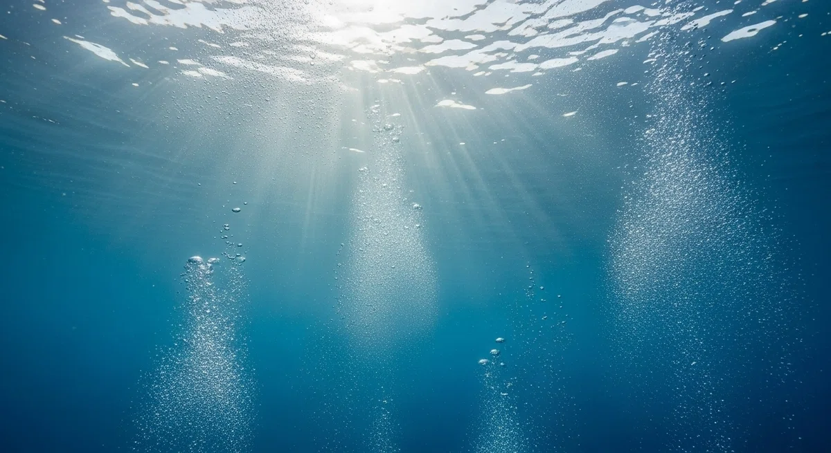 海底から光が差す水面を見上げるような、神秘的で美しい水中写真です。