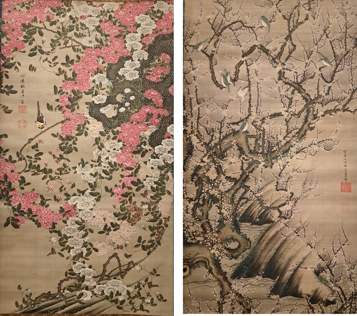 絵画　青と植物 ENCYCLOPEDIA OF FLOWERS Ⅲ 植物図鑑｜青幻舎 SEIGENSHA Art